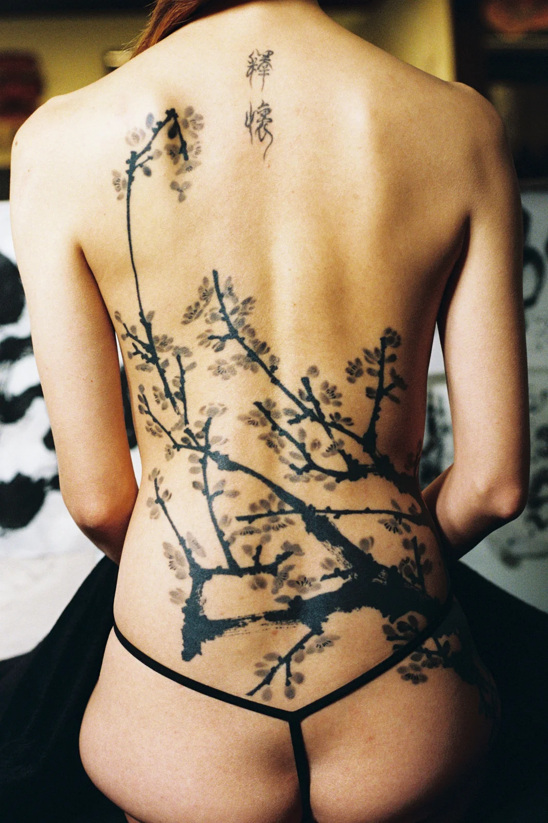 Plum blossom — back — 2025, Image 47