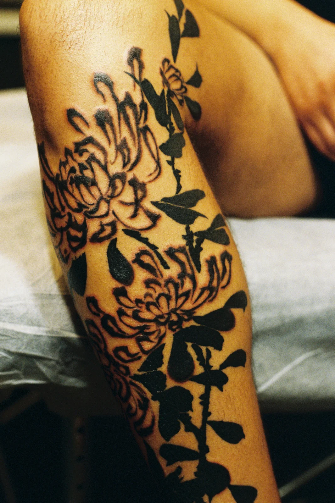 Chrysanthemum — leg — 2025, Image 39