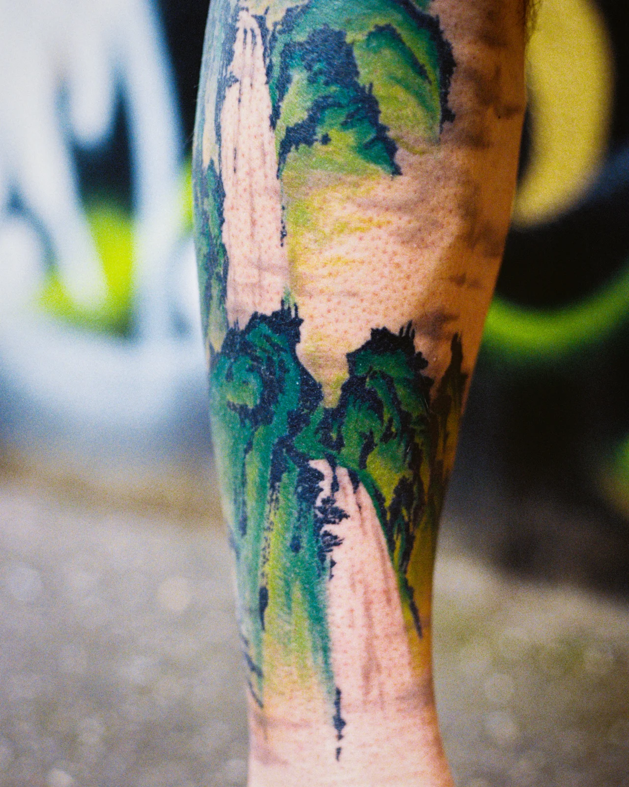 Landscape — calf — 2026, Image 11