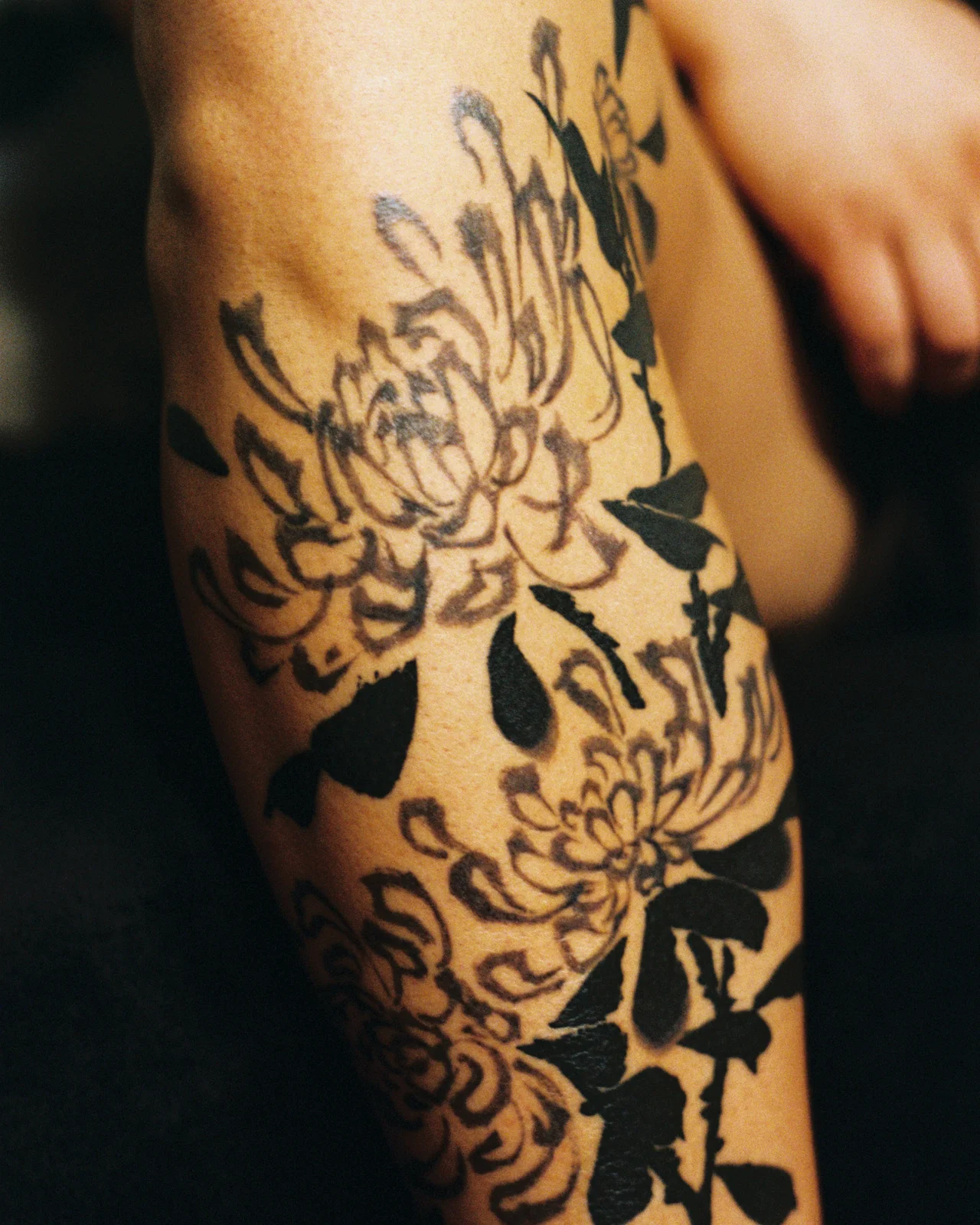 Chrysanthemum — leg — 2025, Image 63