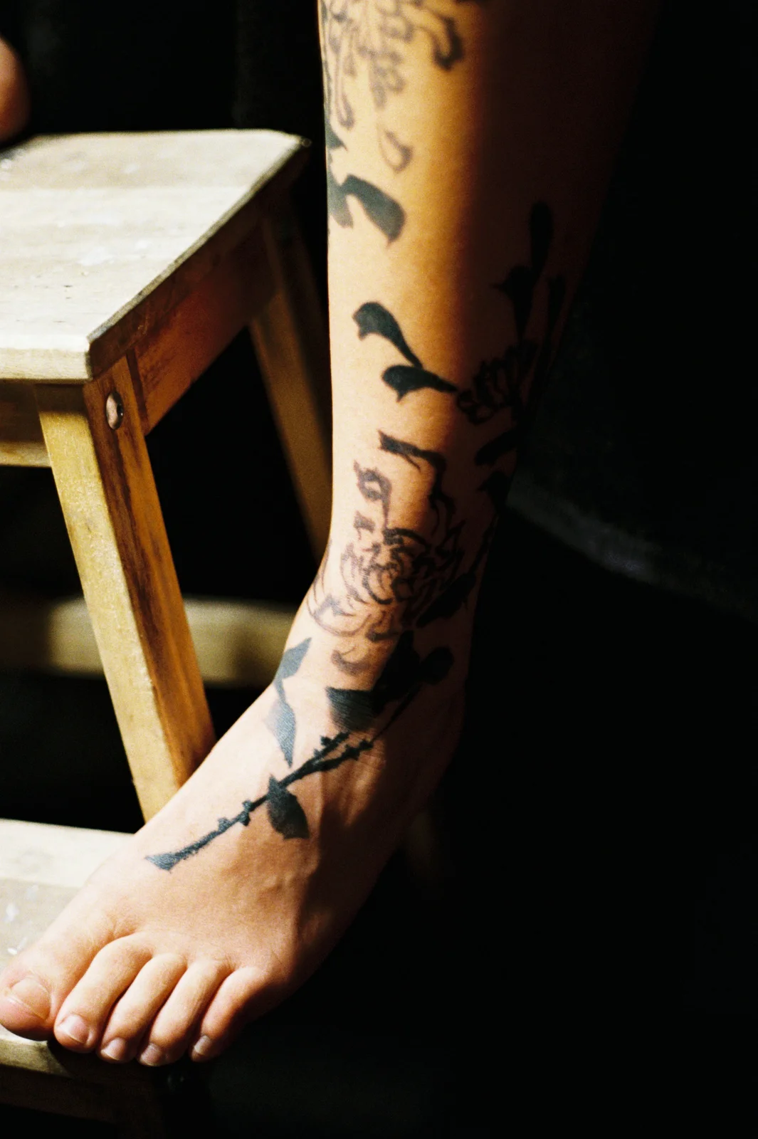 Chrysanthemum — leg — 2025, Image 47