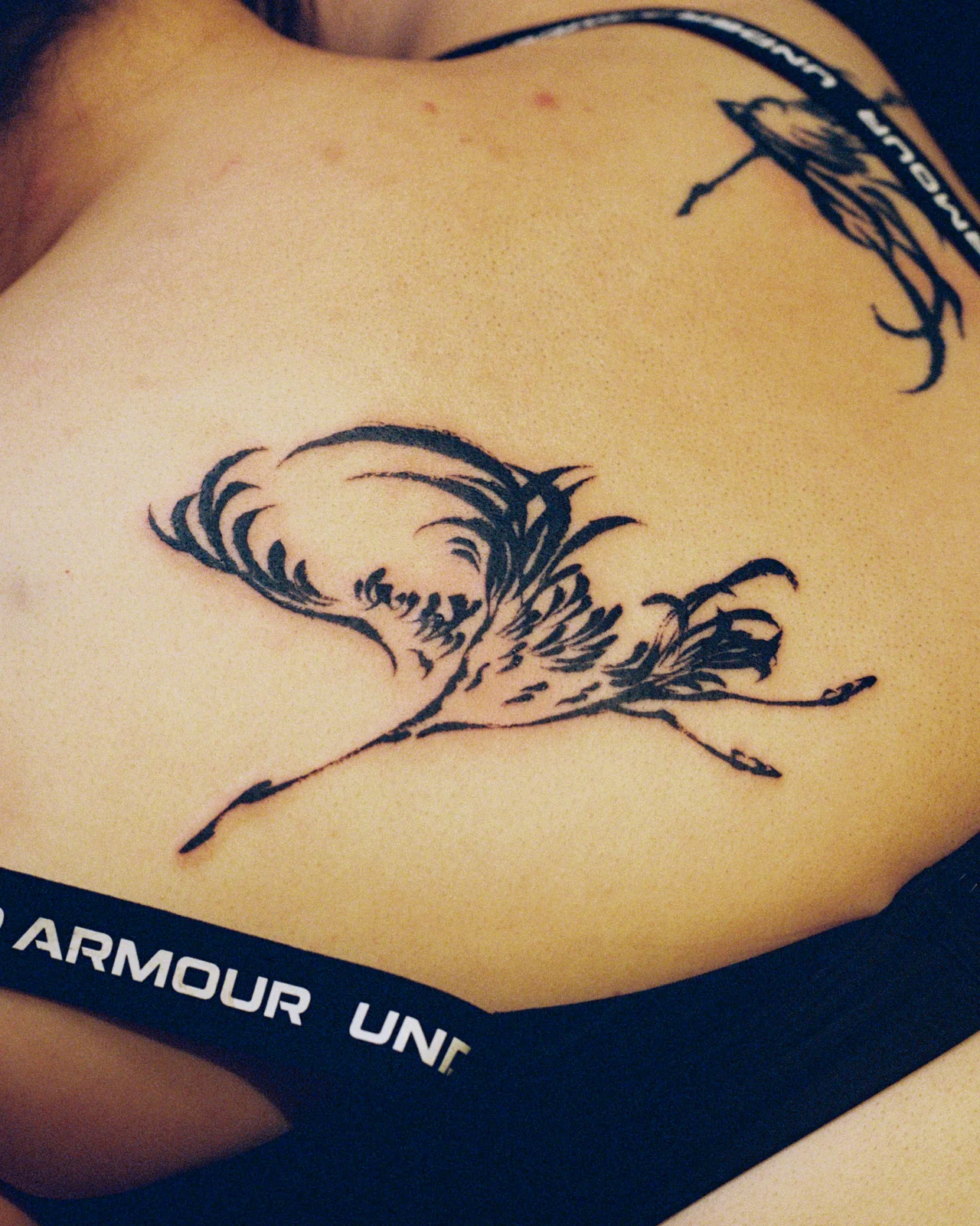 Crane — back 1 — 2026, Image 2