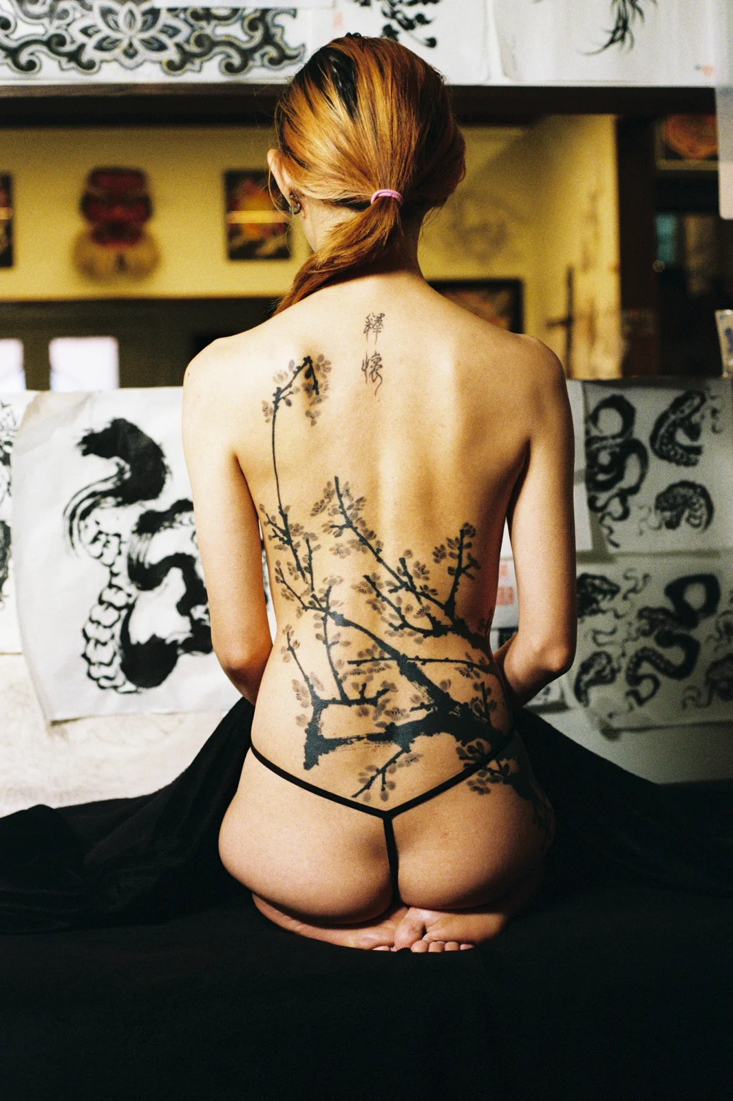 Plum blossom — back — 2025, Image 41