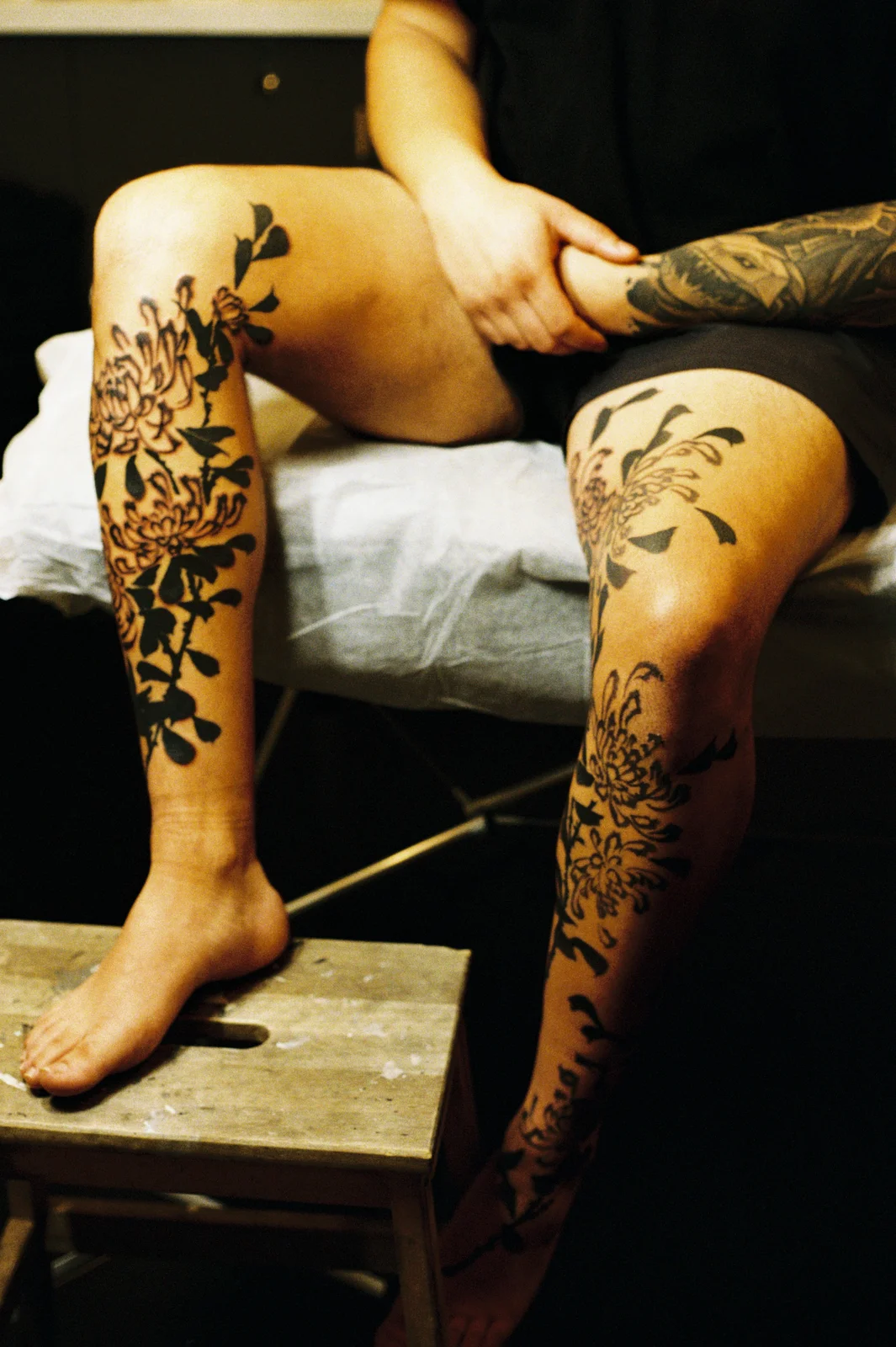 Chrysanthemum — leg — 2025, Image 54