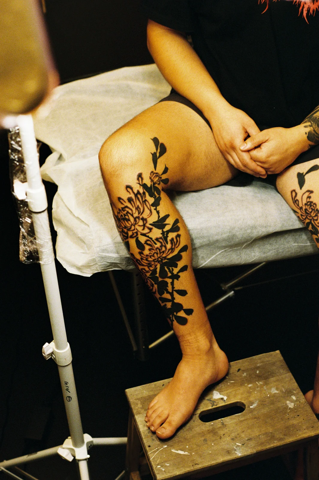Chrysanthemum — leg — 2025, Image 30
