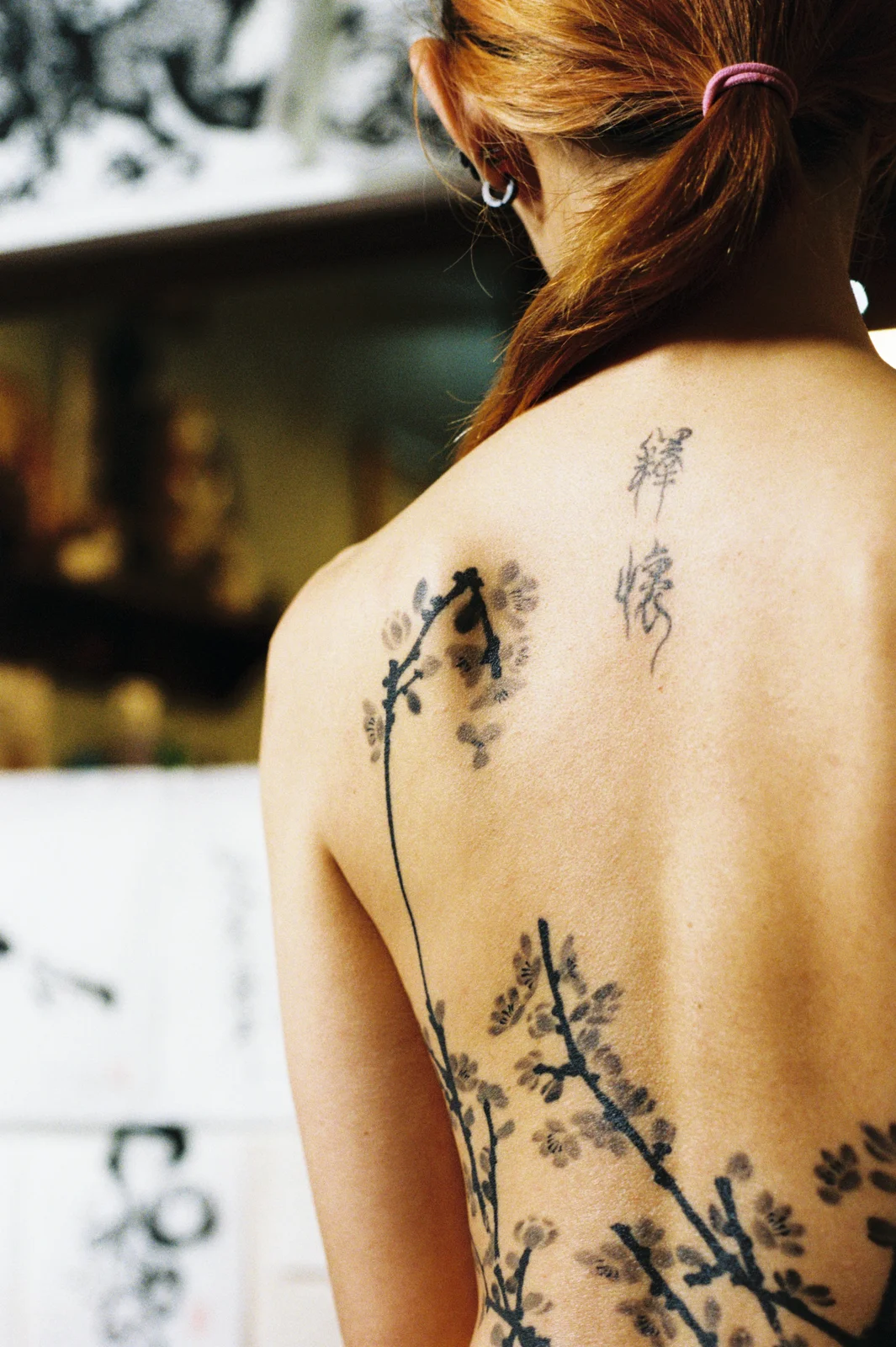 Plum blossom — back — 2025, Image 57