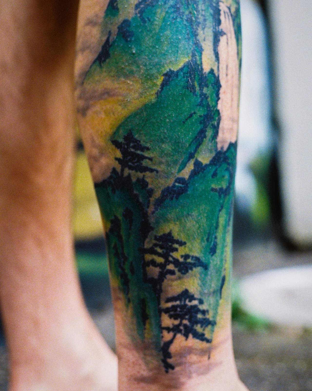 Landscape — calf — 2026, Image 14