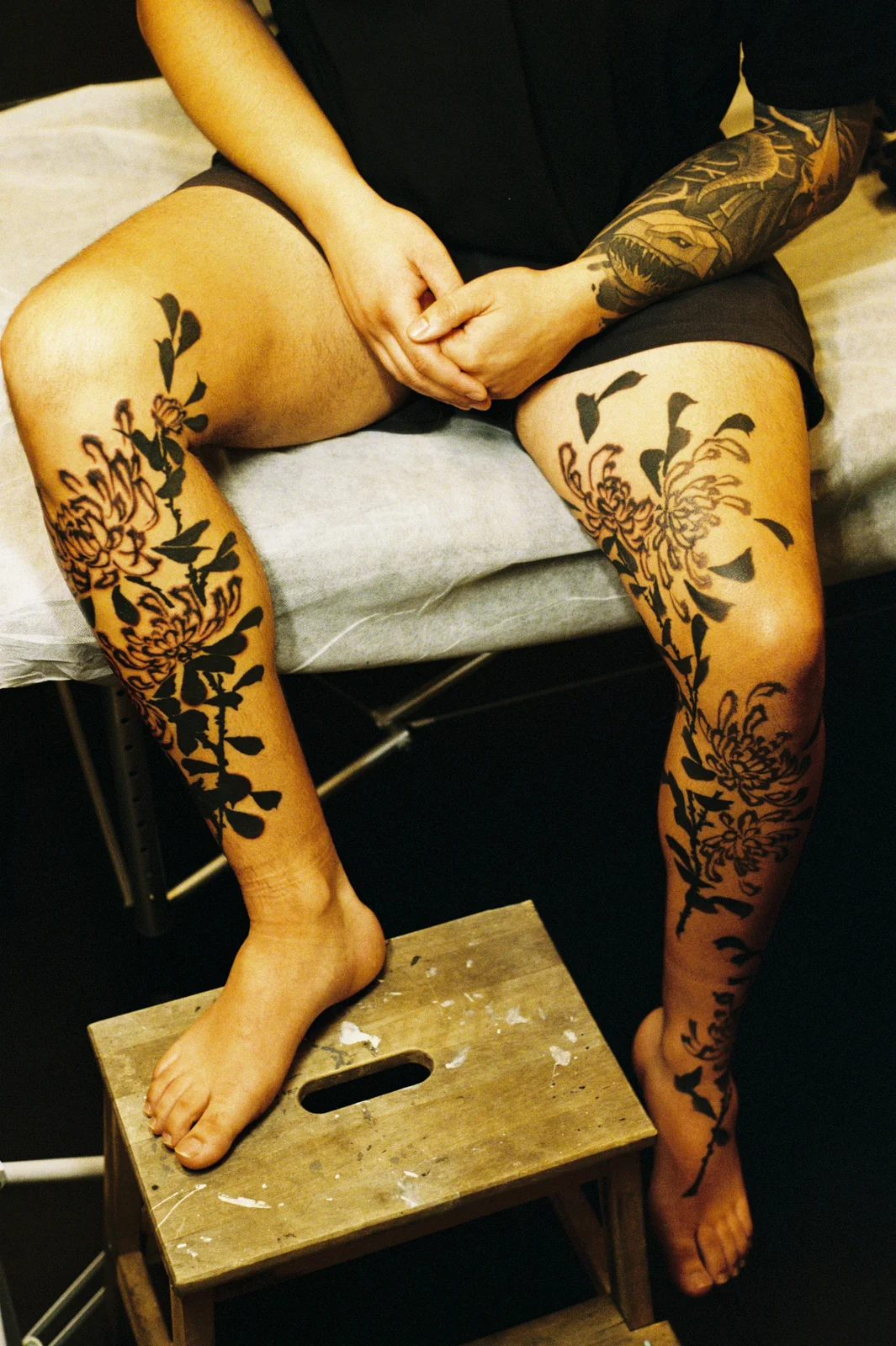 Chrysanthemum — leg — 2025, Image 23