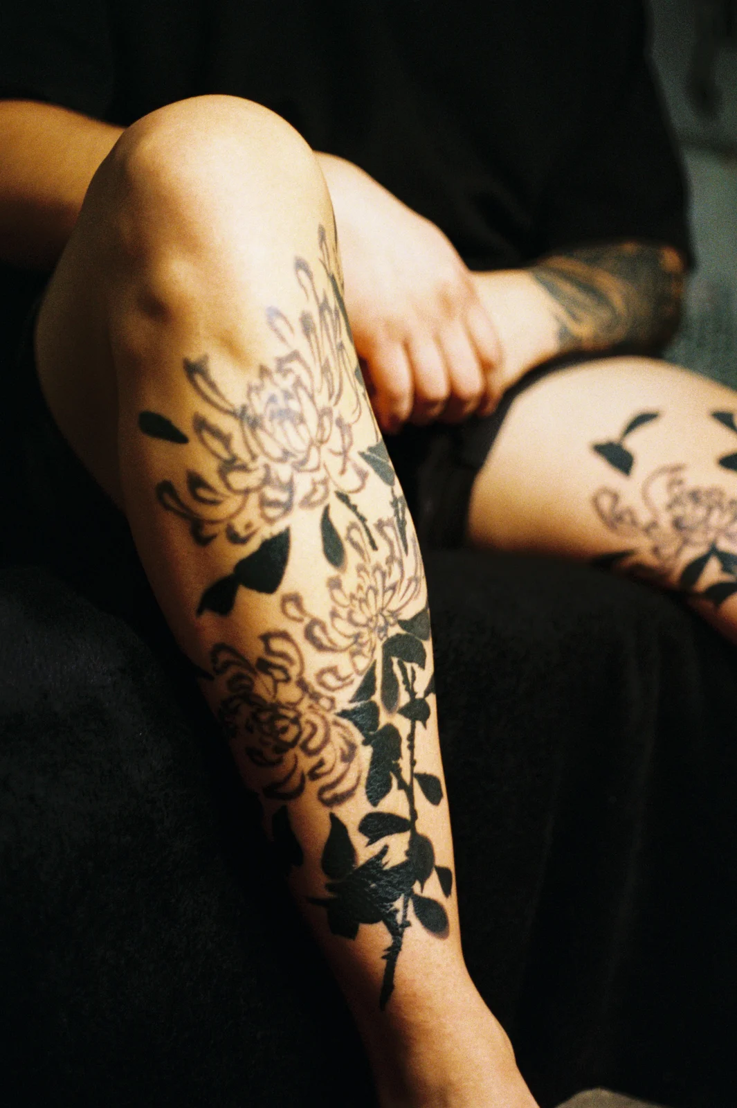 Chrysanthemum — leg — 2025, Image 61