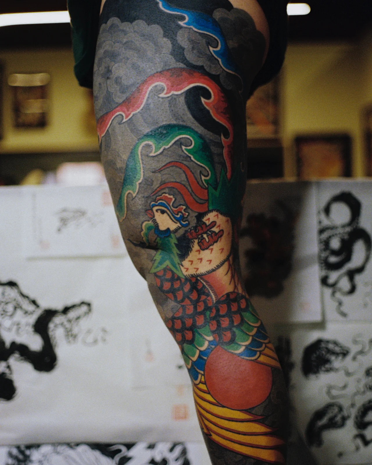 Phoenix — leg — 2025, Image 38