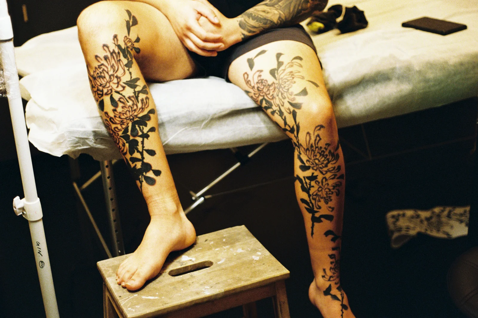 Chrysanthemum — leg — 2025, Image 2