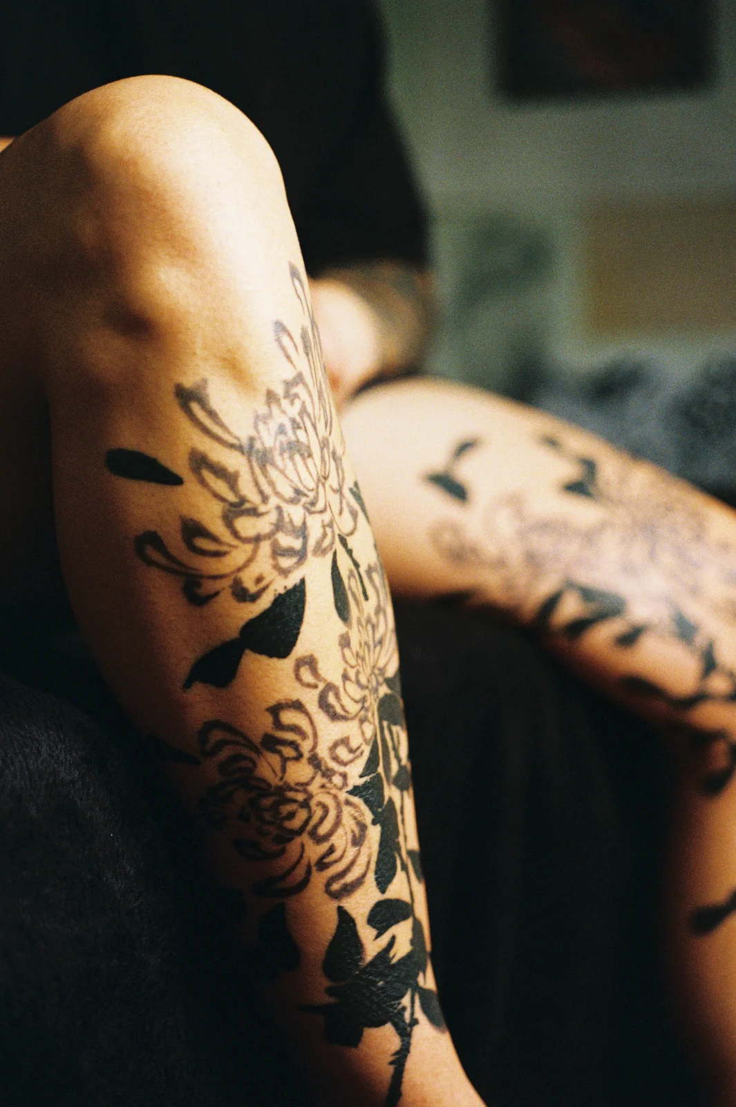 Chrysanthemum — leg — 2025, Image 67