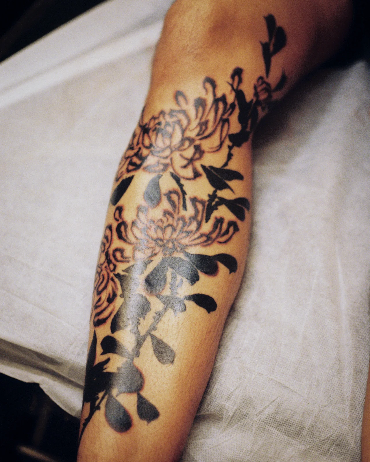 Chrysanthemum — leg — 2025, Image 74