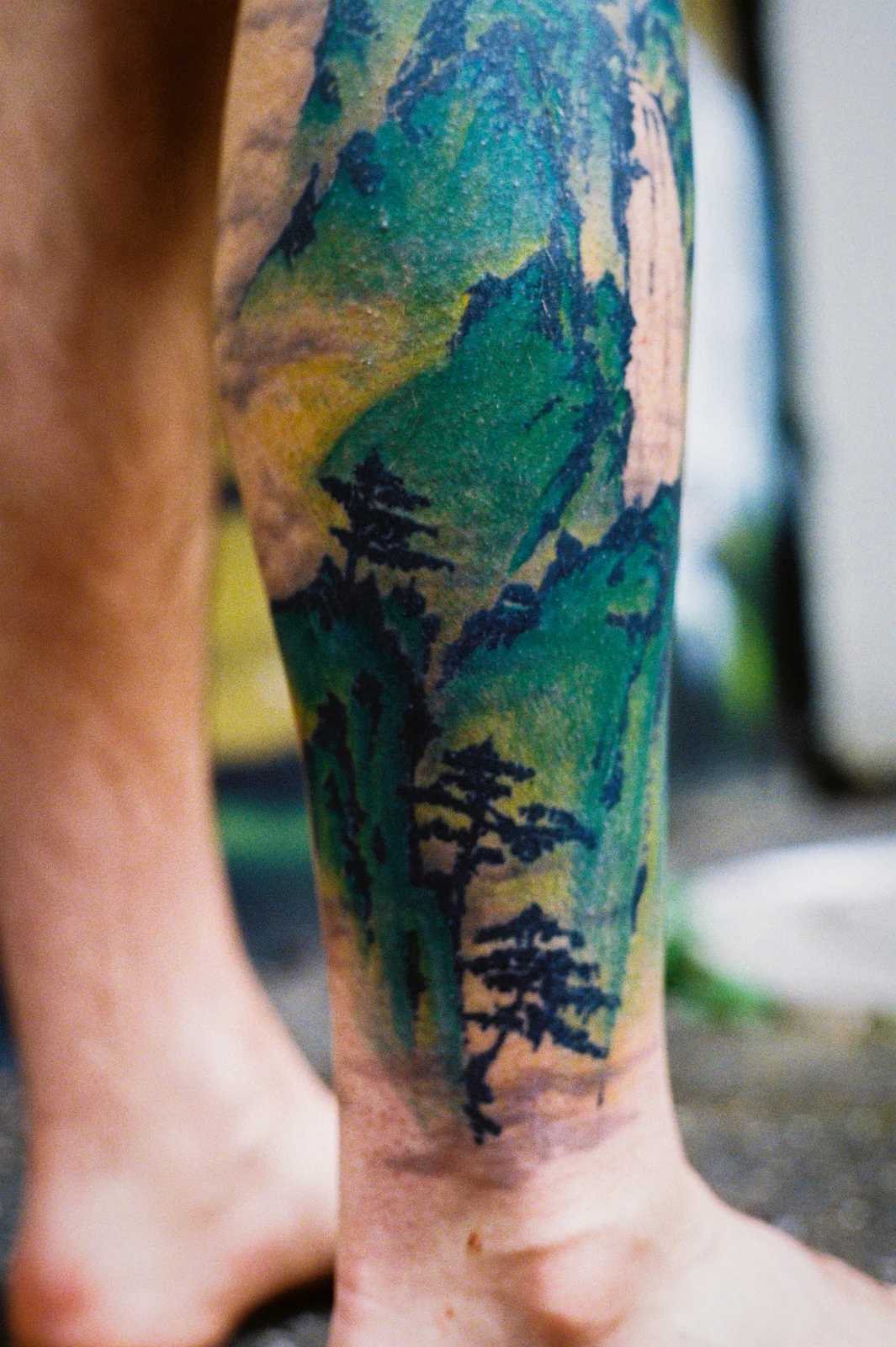 Landscape — calf — 2026, Image 13