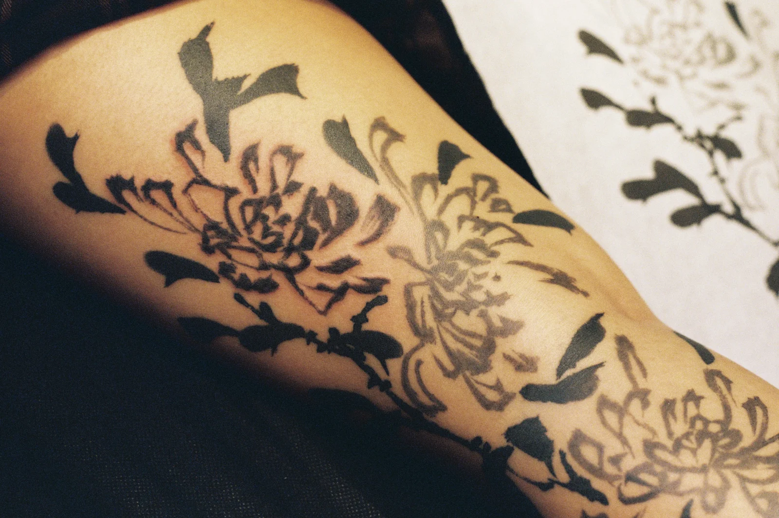 Chrysanthemum — leg — 2025, Image 8