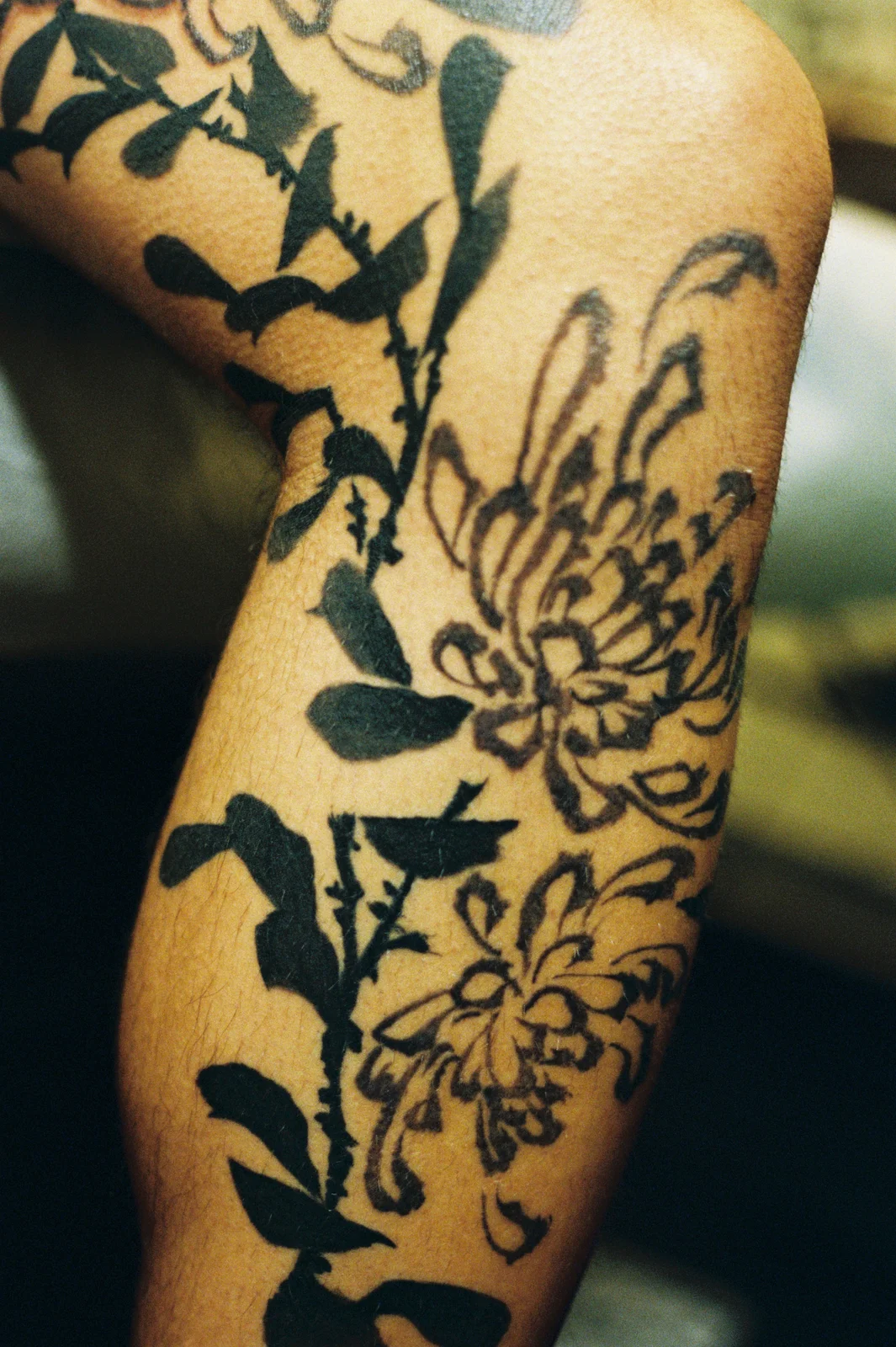 Chrysanthemum — leg — 2025, Image 42