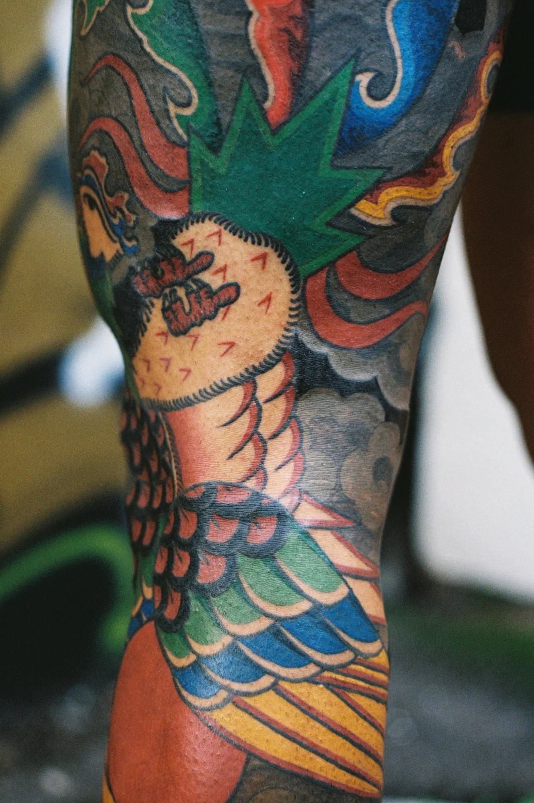 Phoenix — leg — 2025, Image 25