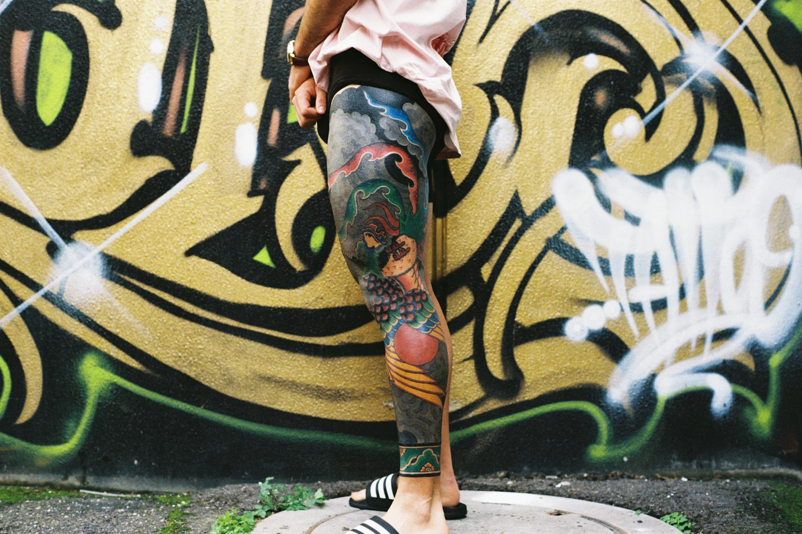 Phoenix — leg — 2025, Image 20