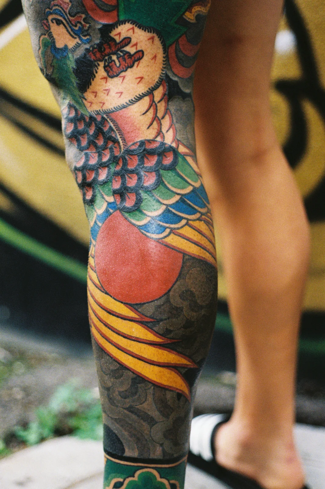 Phoenix — leg — 2025, Image 18
