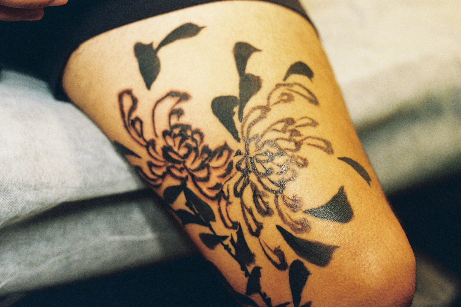Chrysanthemum — leg — 2025, Image 7