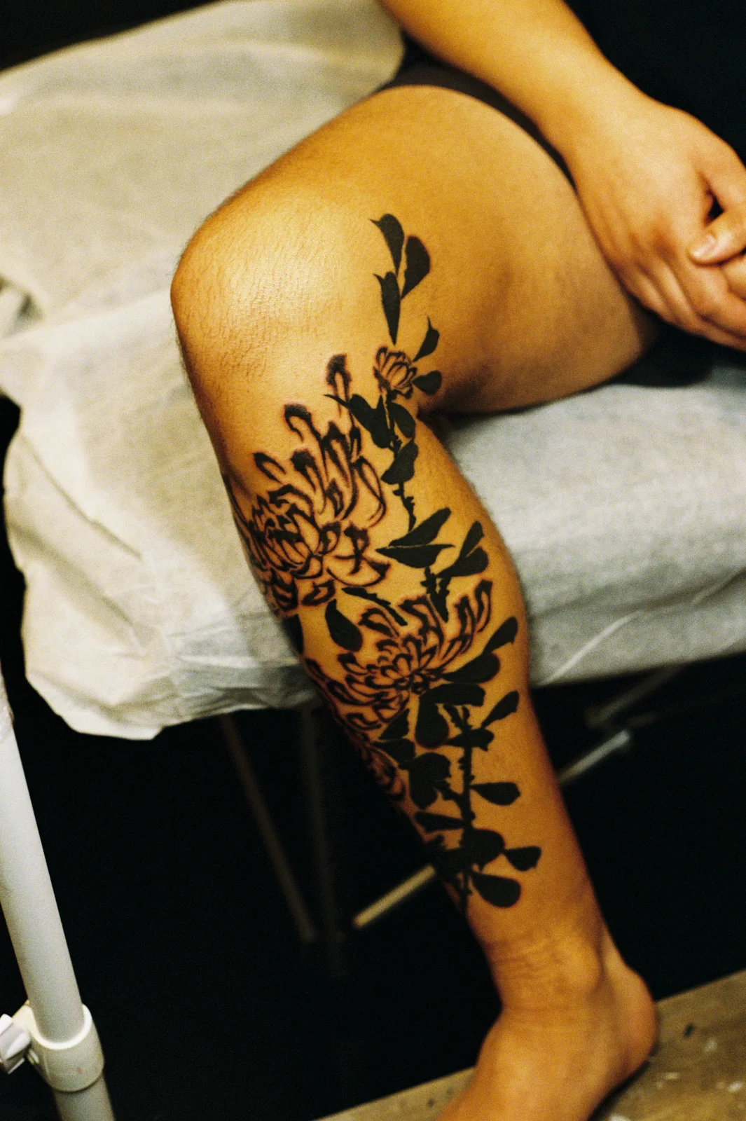 Chrysanthemum — leg — 2025, Image 33