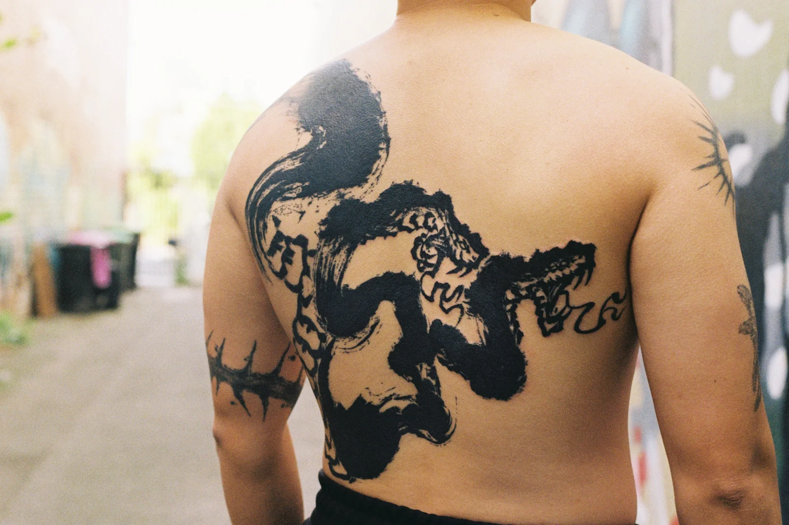 Two-headed snake — 2025, Image 6