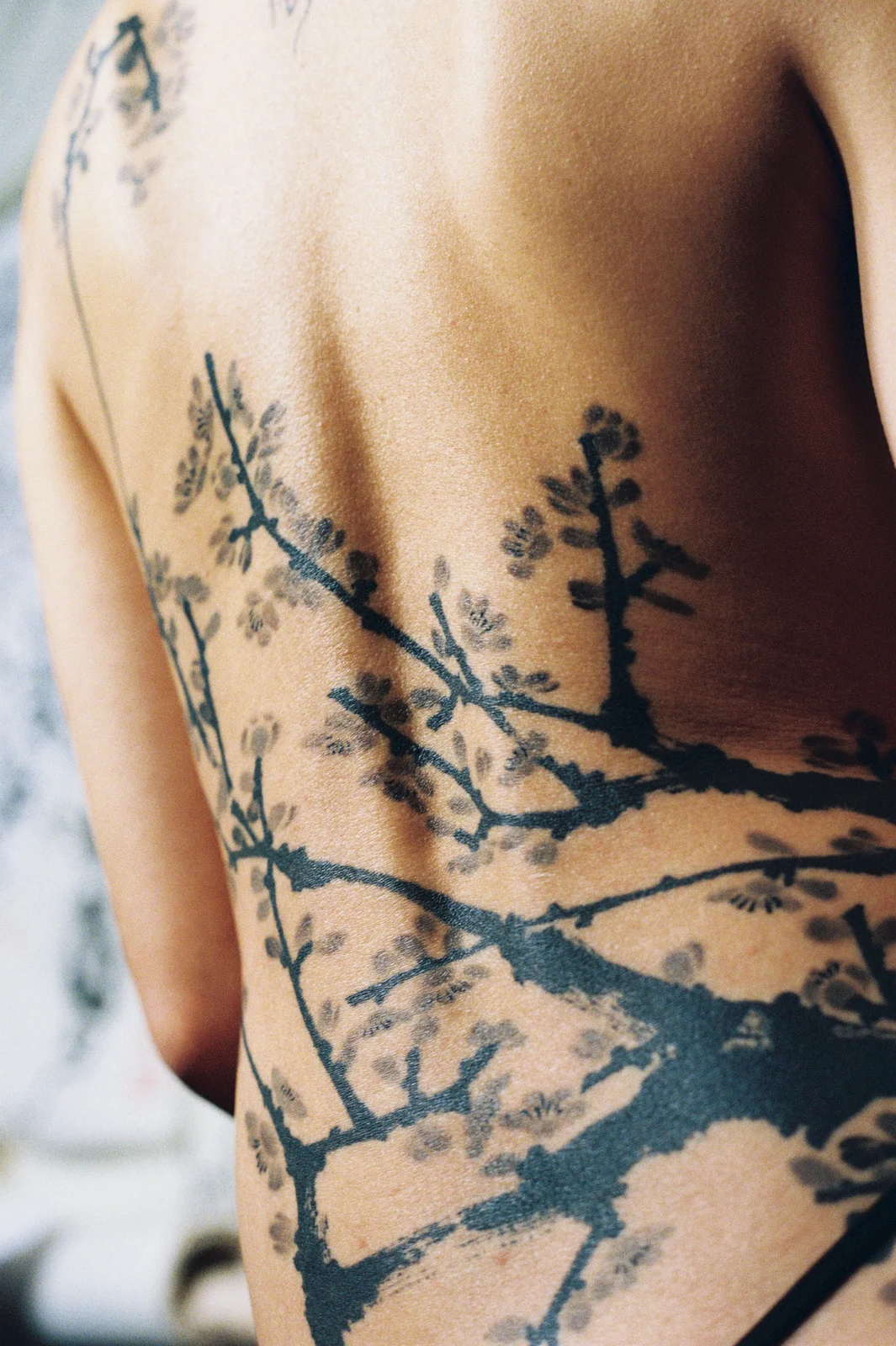 Plum blossom — back — 2025, Image 35