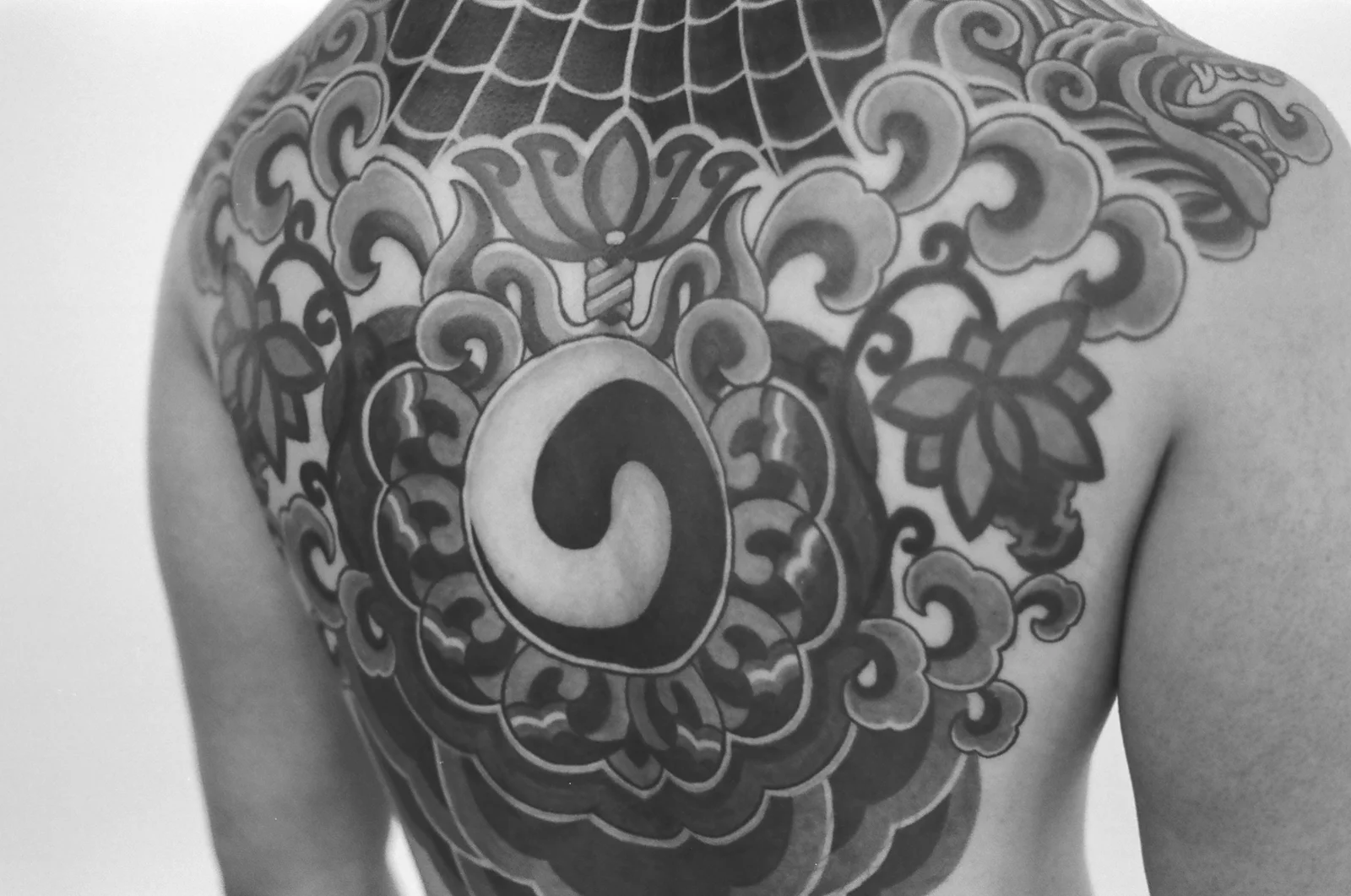 Taegeuk — back — 2024, Image 3