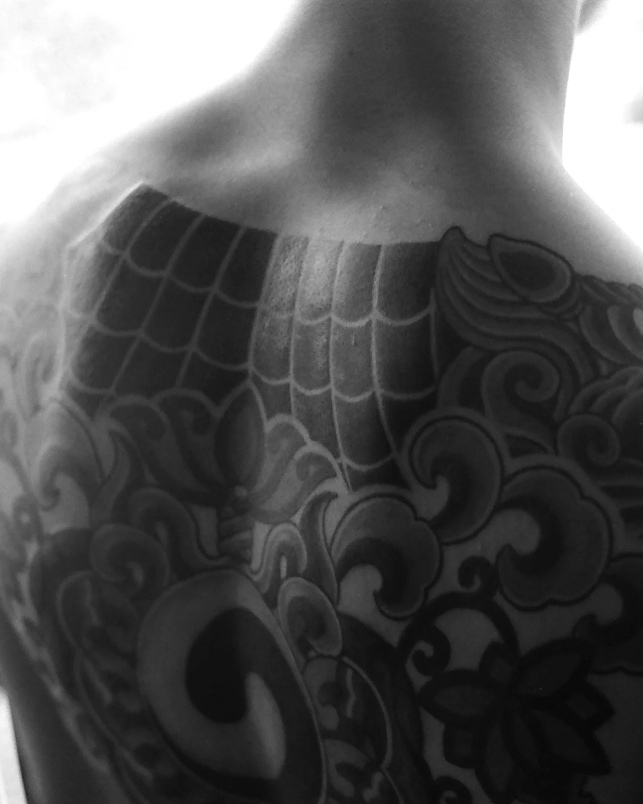 Taegeuk — back — 2024, Image 9