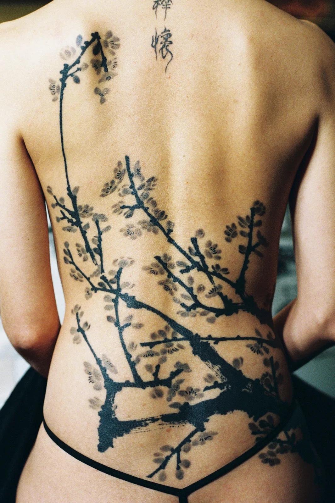 Plum blossom — back — 2025, Image 54