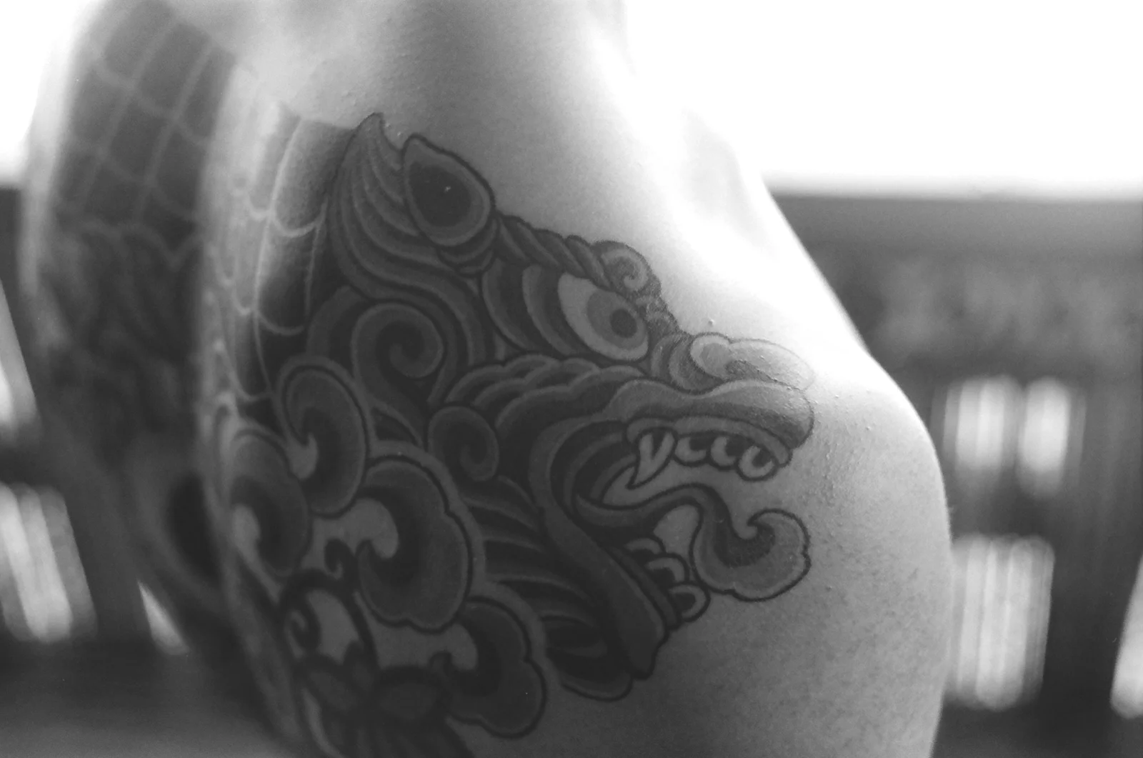 Taegeuk — back — 2024, Image 8