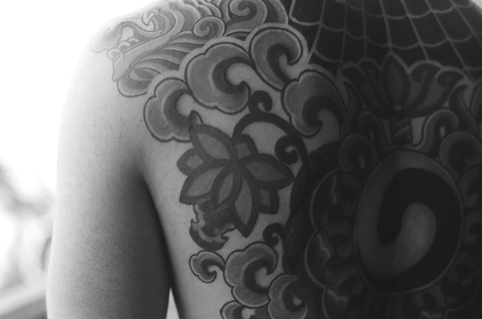 Taegeuk — back — 2024, Image 4