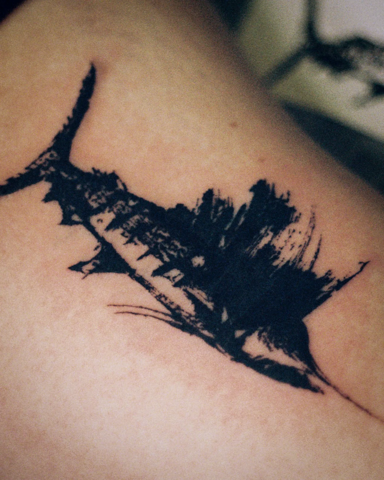 Sailfish — shoulder — Seongjin Kim, 2025