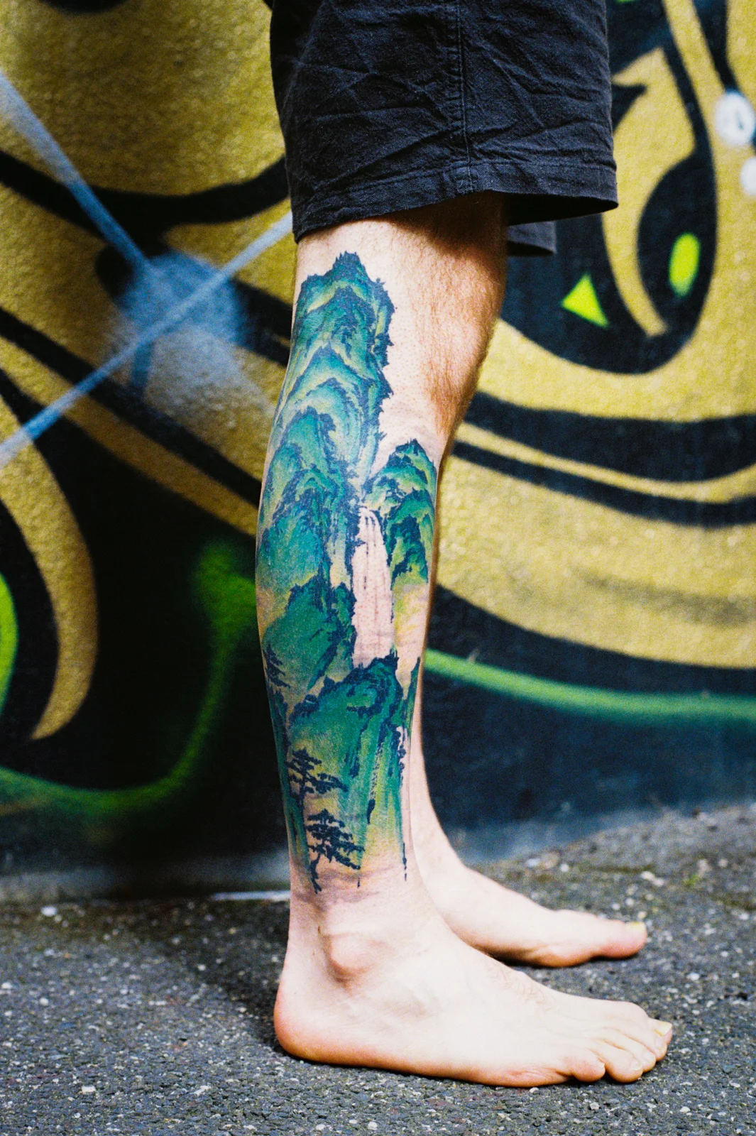 Landscape — calf — 2026, Image 6
