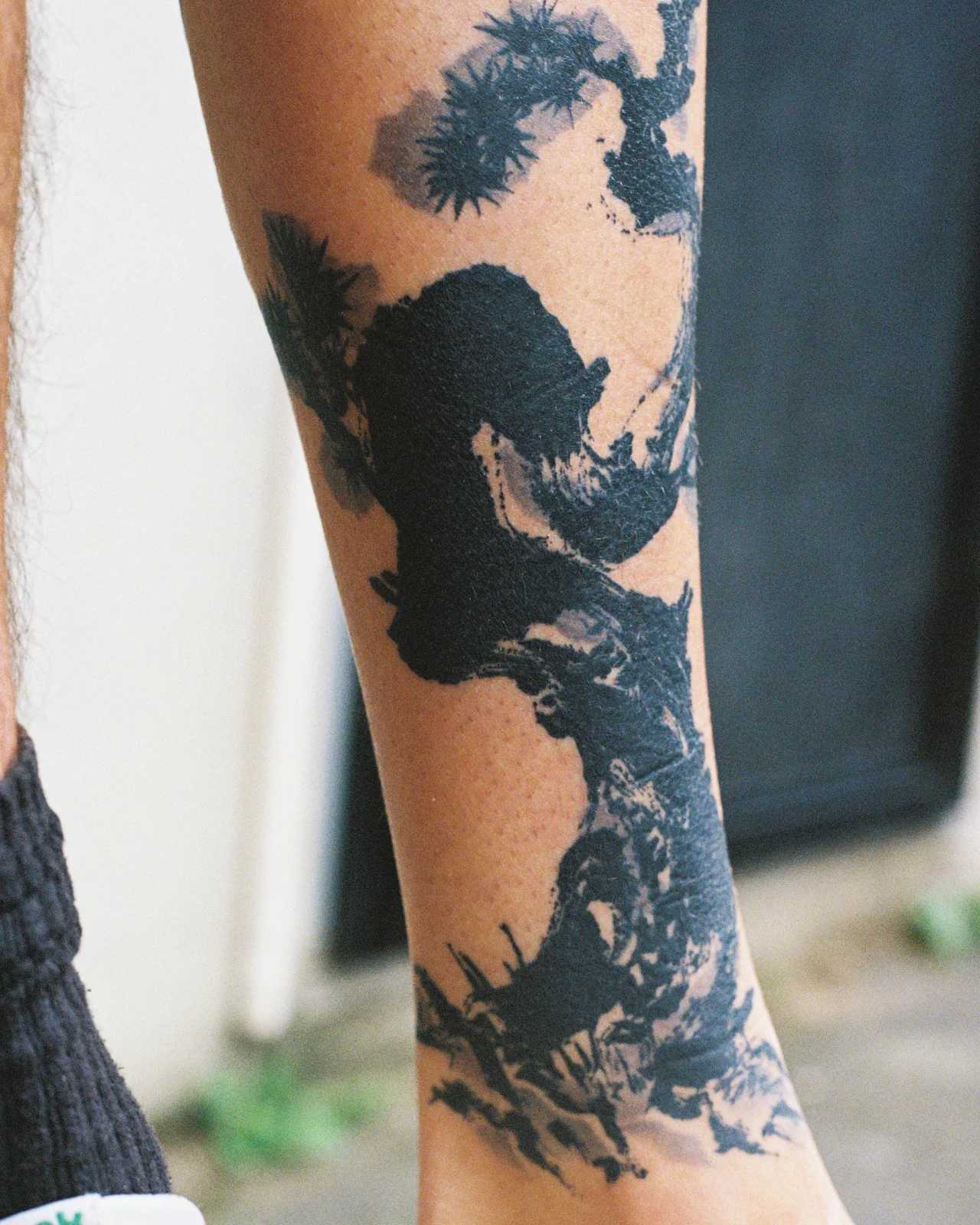 Pine — calf — 2025, Image 2