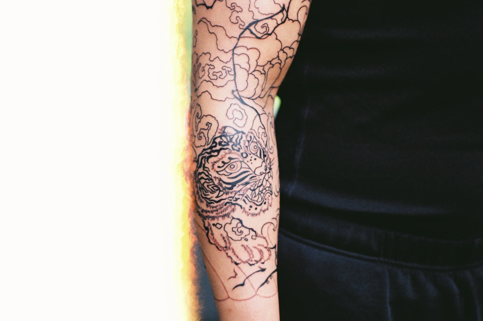 Tiger — arm, linework — 2025, Image 8