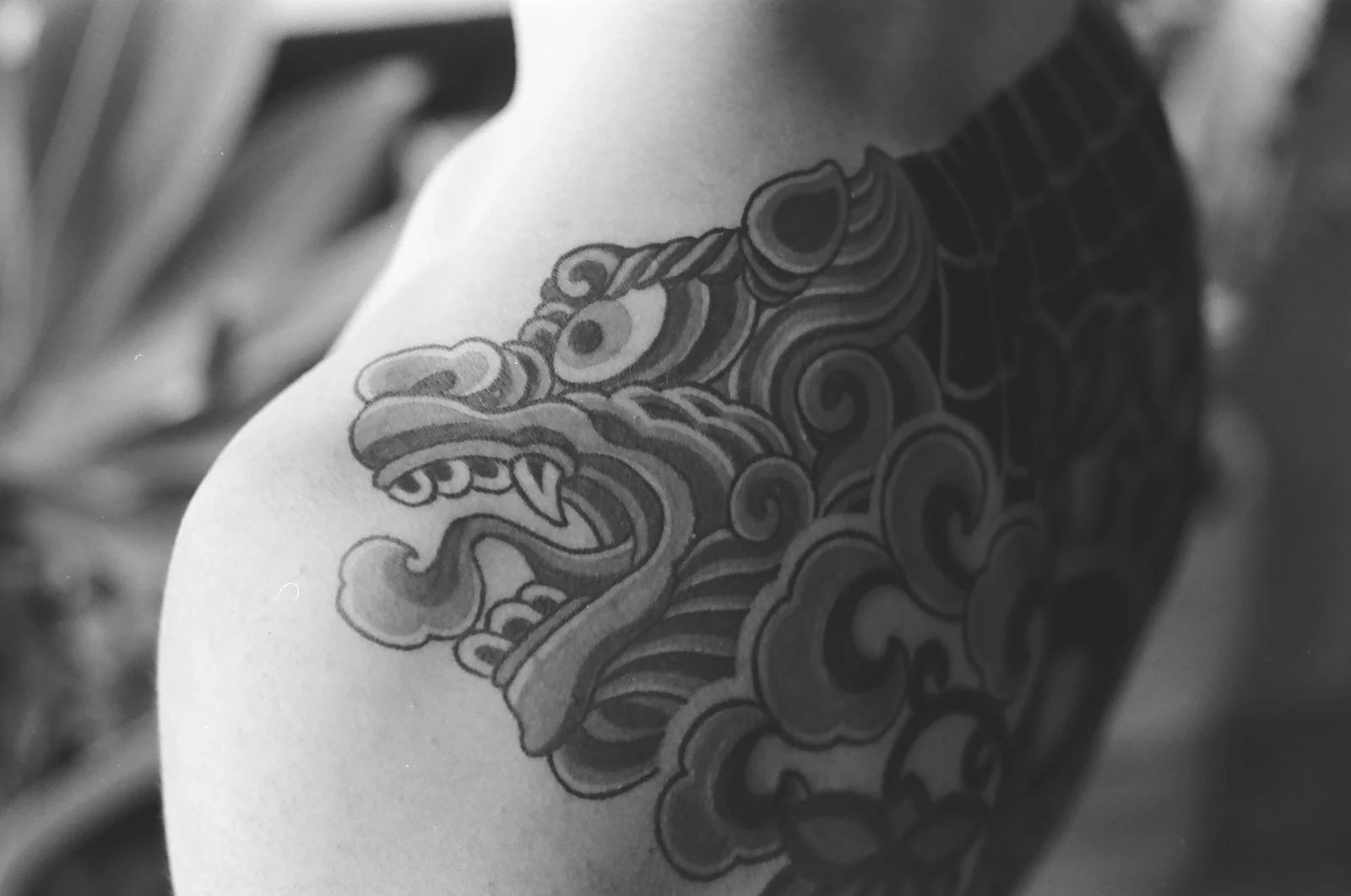 Taegeuk — back — 2024, Image 6