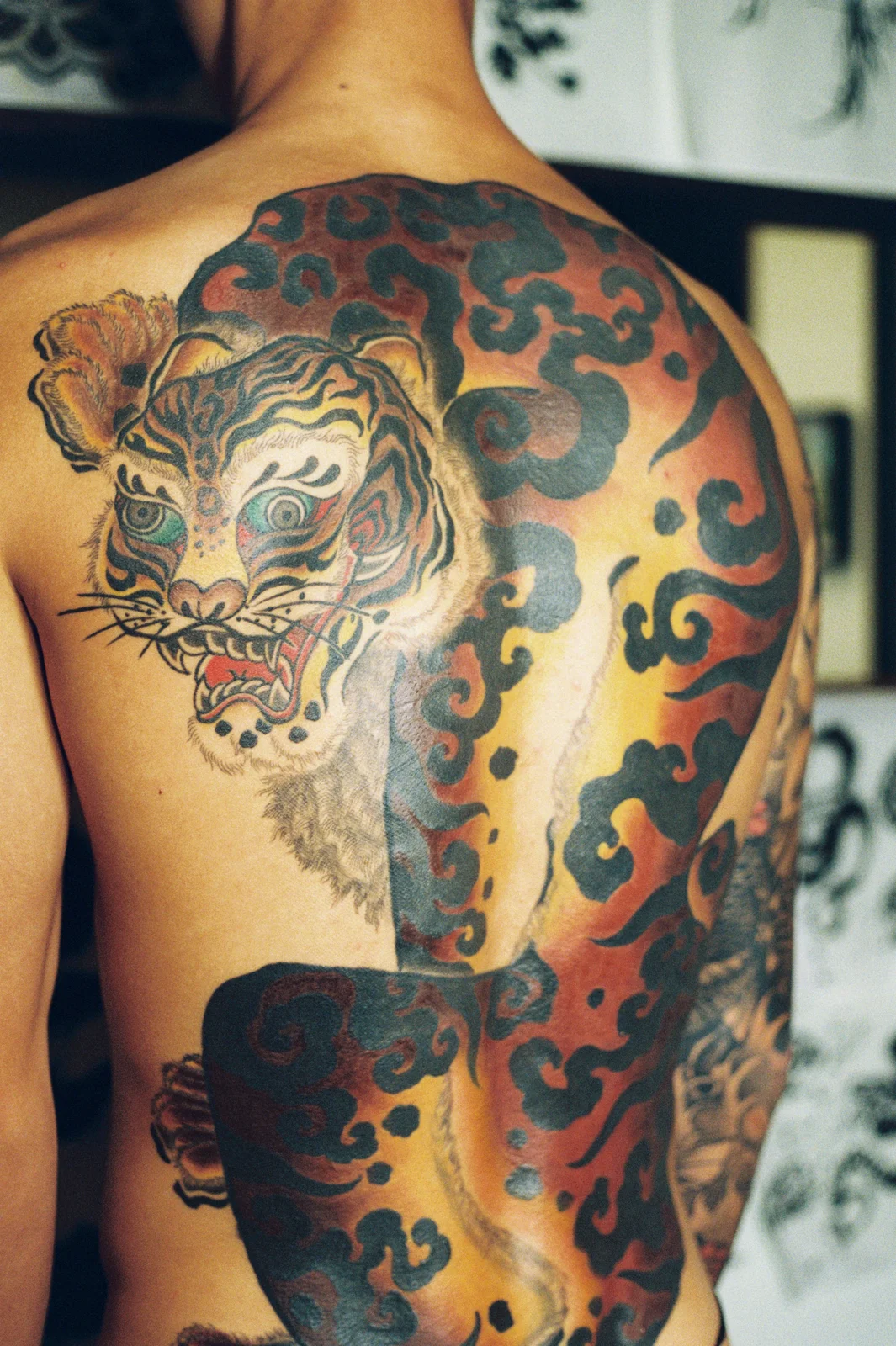 Tiger — back — 2026, Image 5