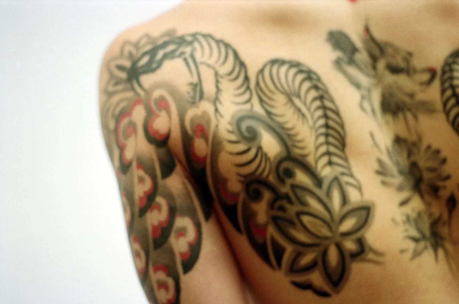 Ornament — shoulder & back — Seongjin Kim, 2024