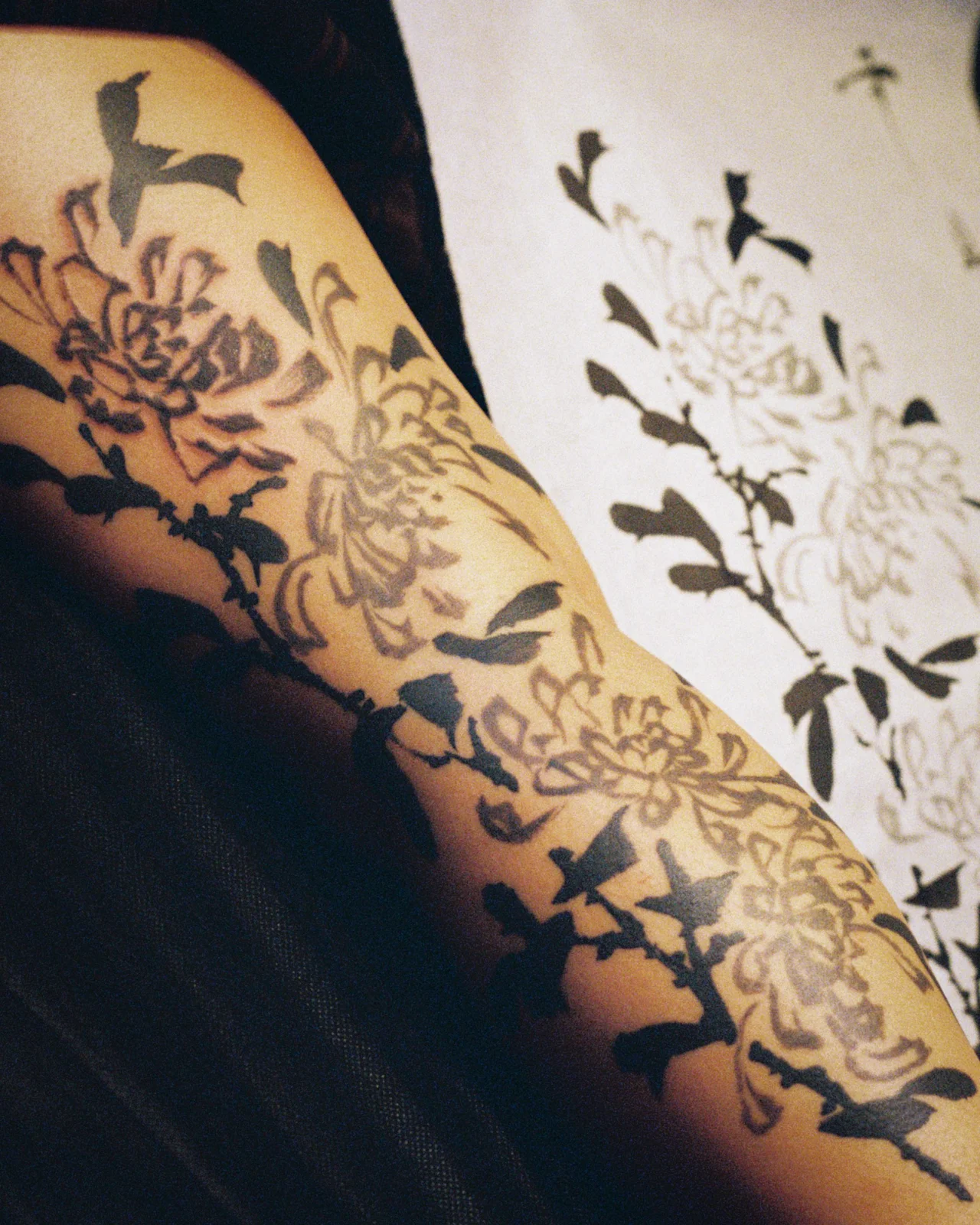 Chrysanthemum — leg 2 — 2025, Image 2