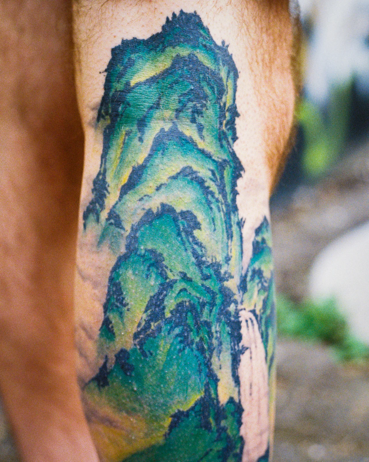 Landscape — calf — 2026, Image 9