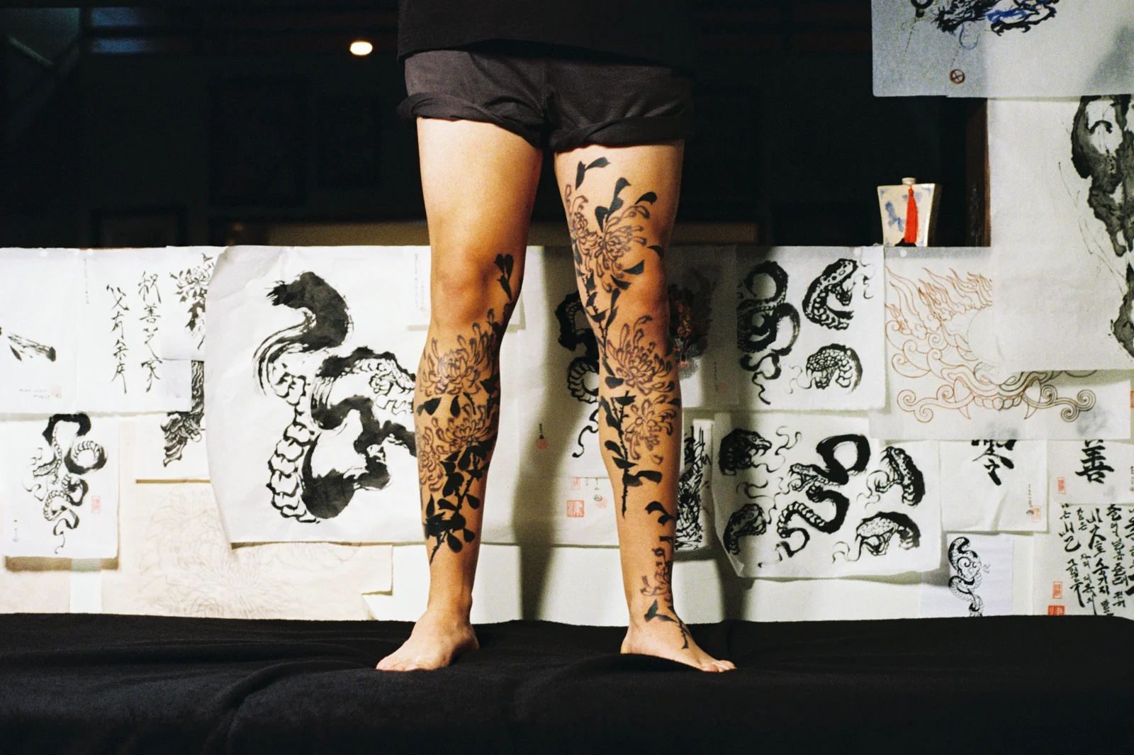 Chrysanthemum — leg — 2025, Image 3