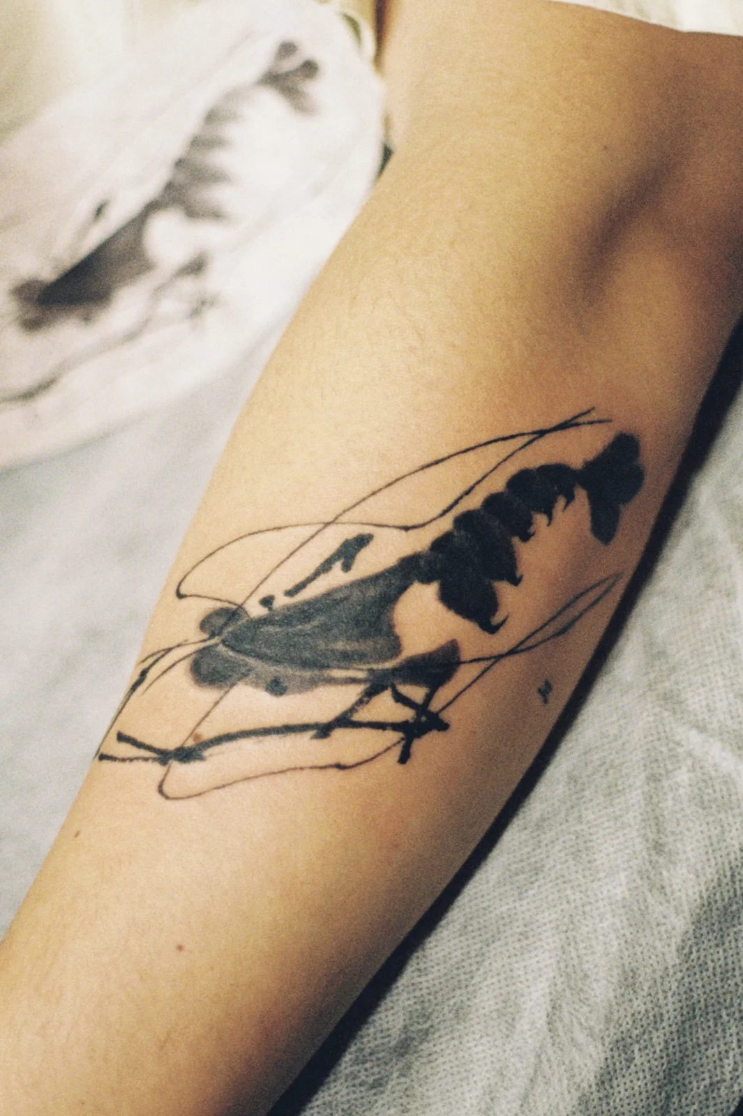 Shrimp — forearm — 2025, Image 3