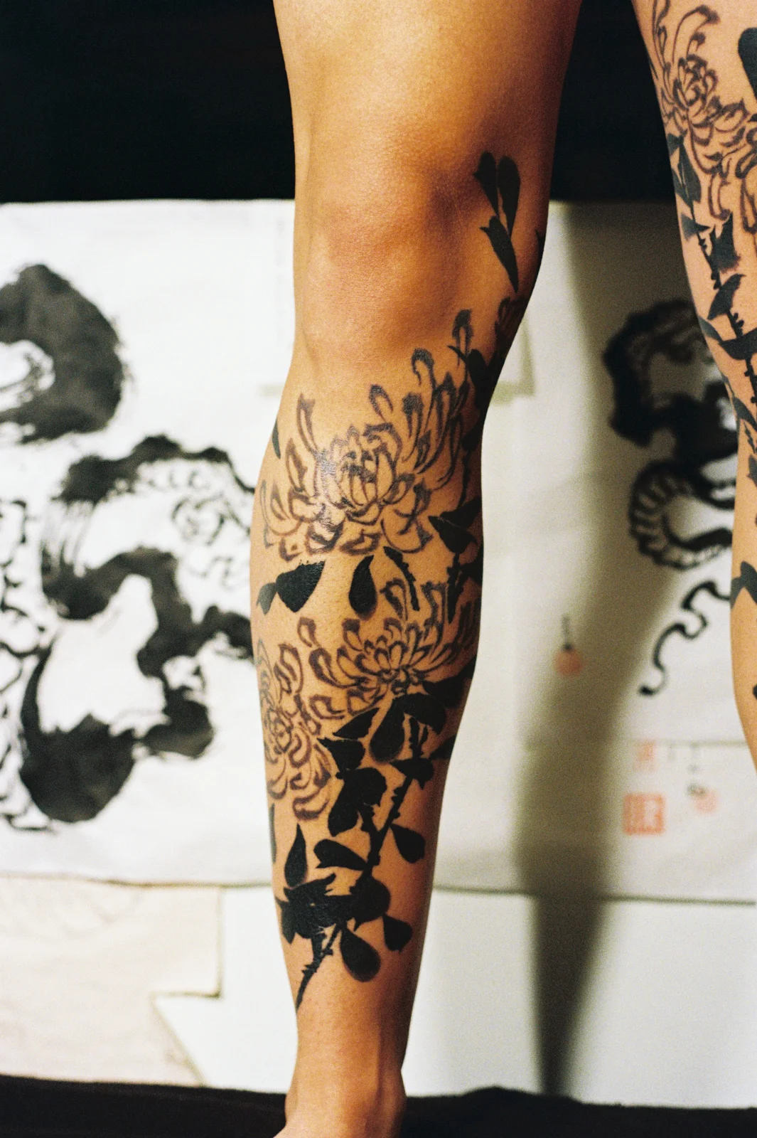 Chrysanthemum — leg — 2025, Image 18