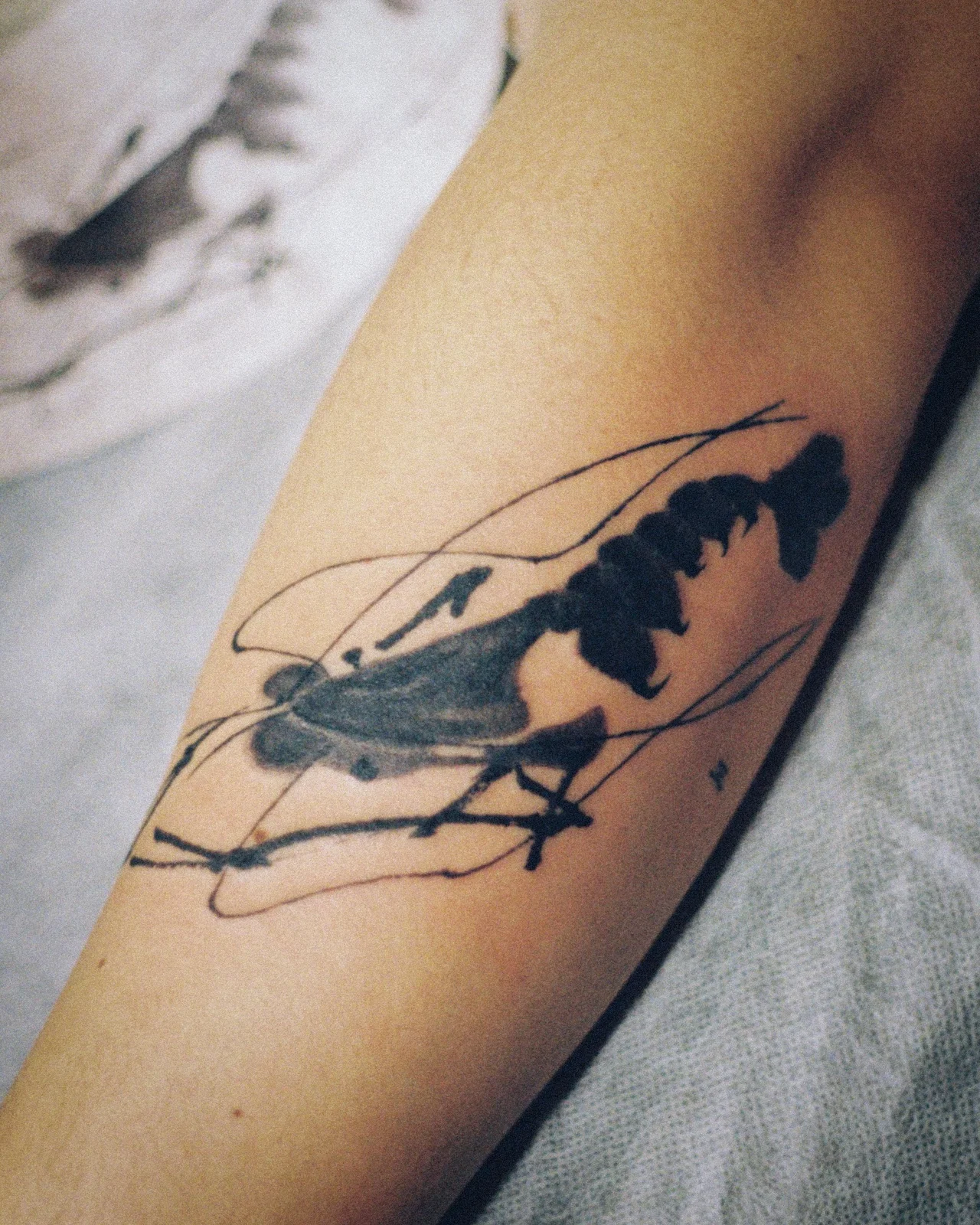 Shrimp — forearm — 2025, Image 4