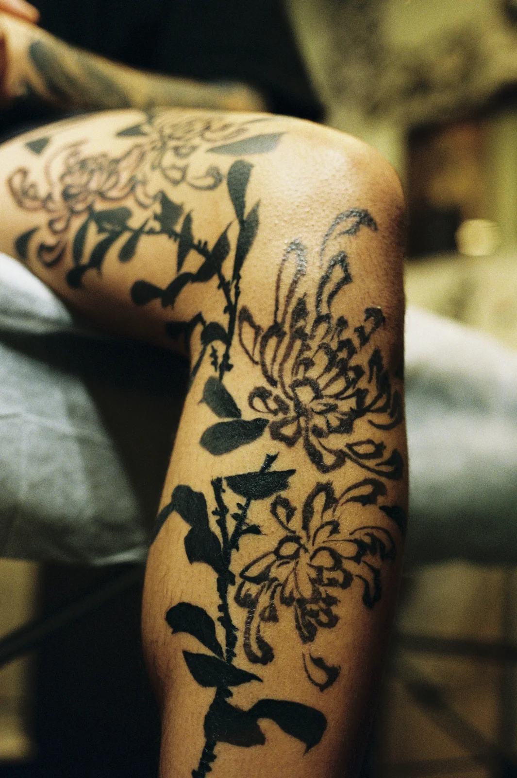 Chrysanthemum — leg — 2025, Image 53