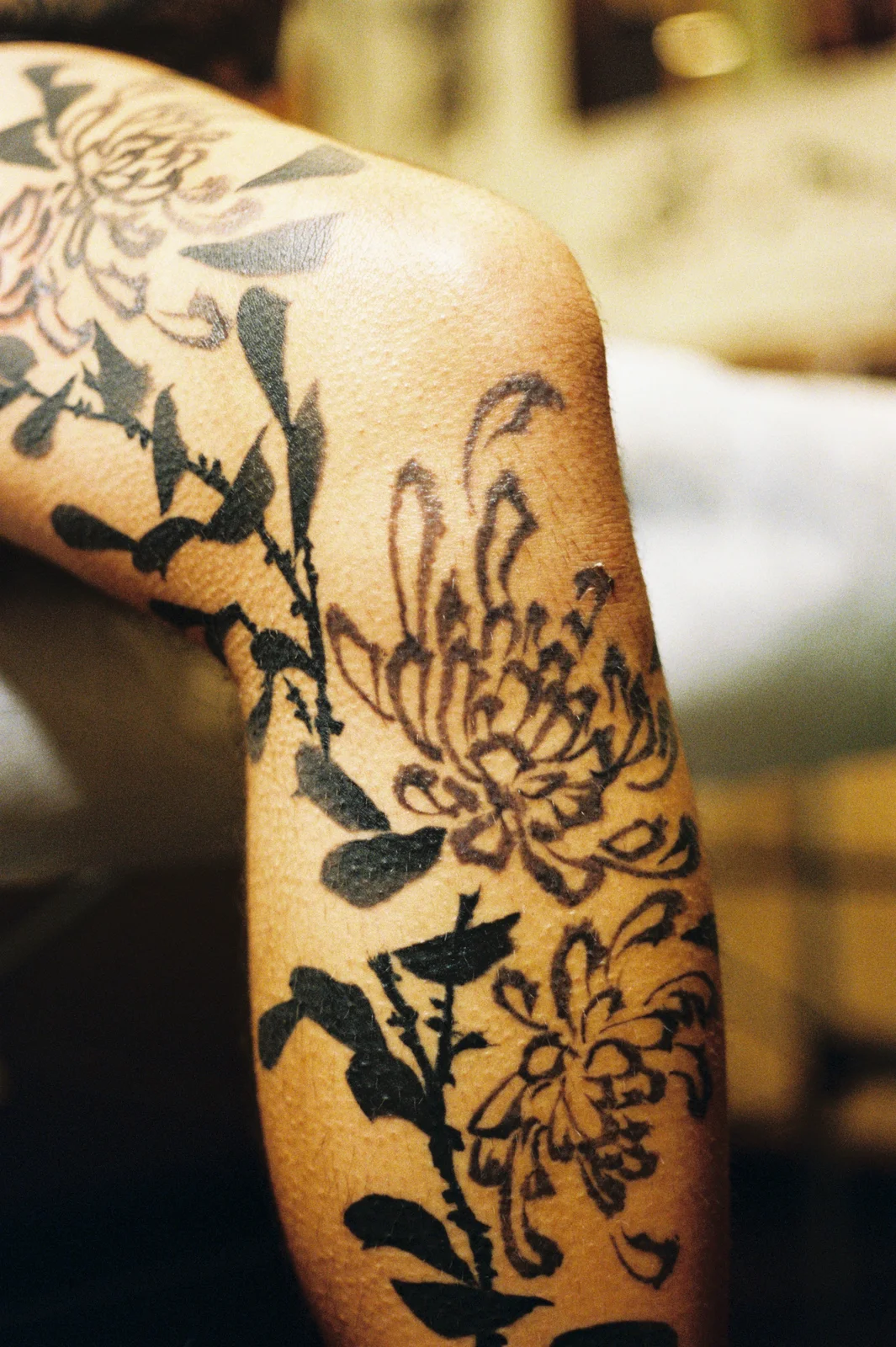 Chrysanthemum — leg — 2025, Image 16
