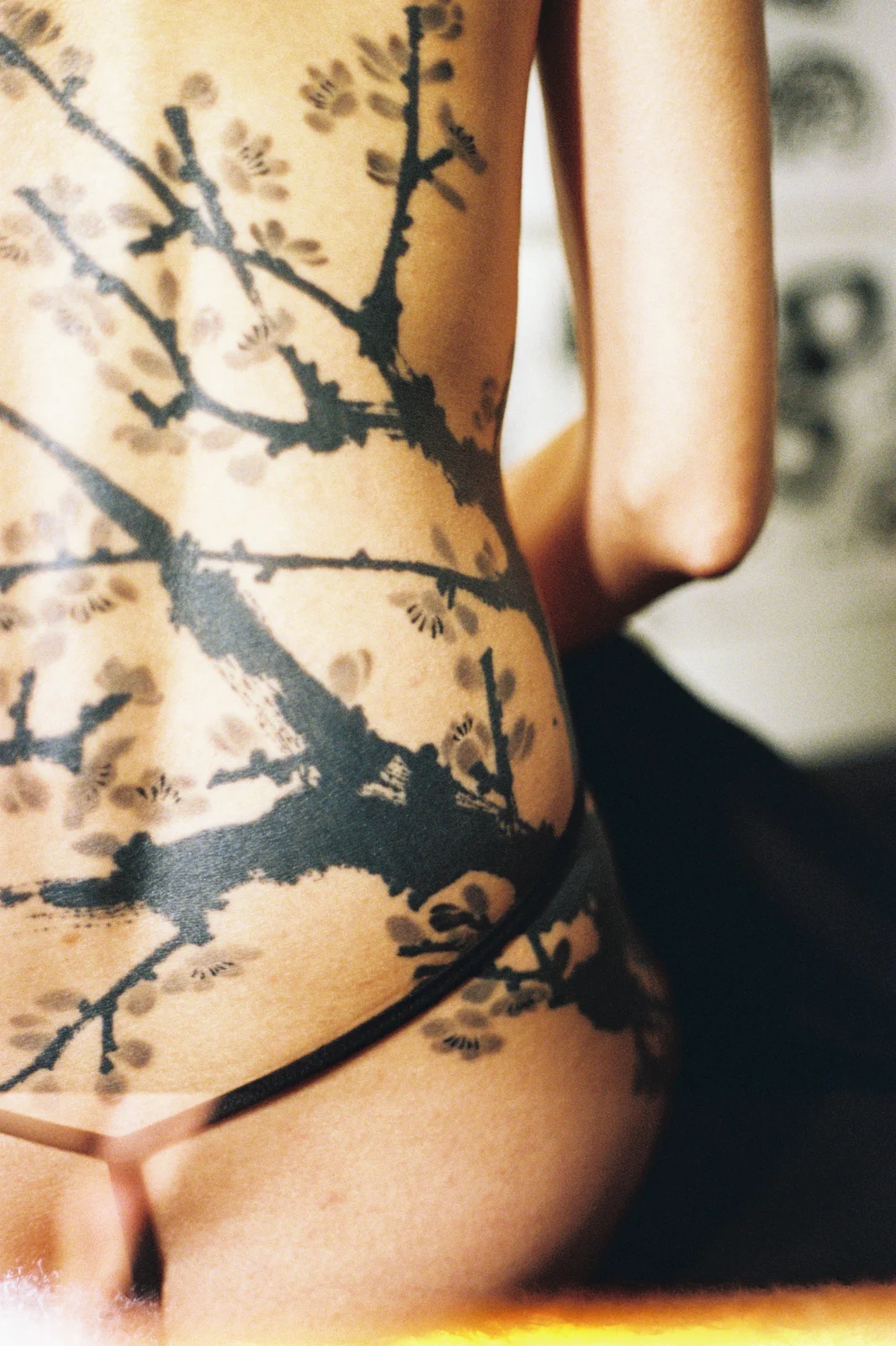 Plum blossom — back — 2025, Image 4