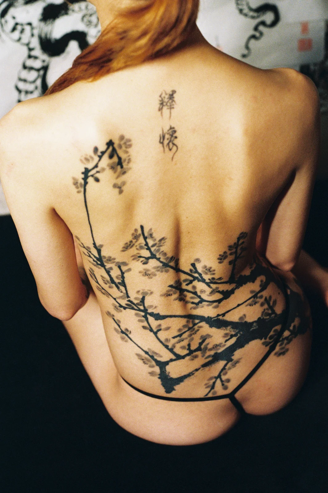 Plum blossom — back — 2025, Image 39