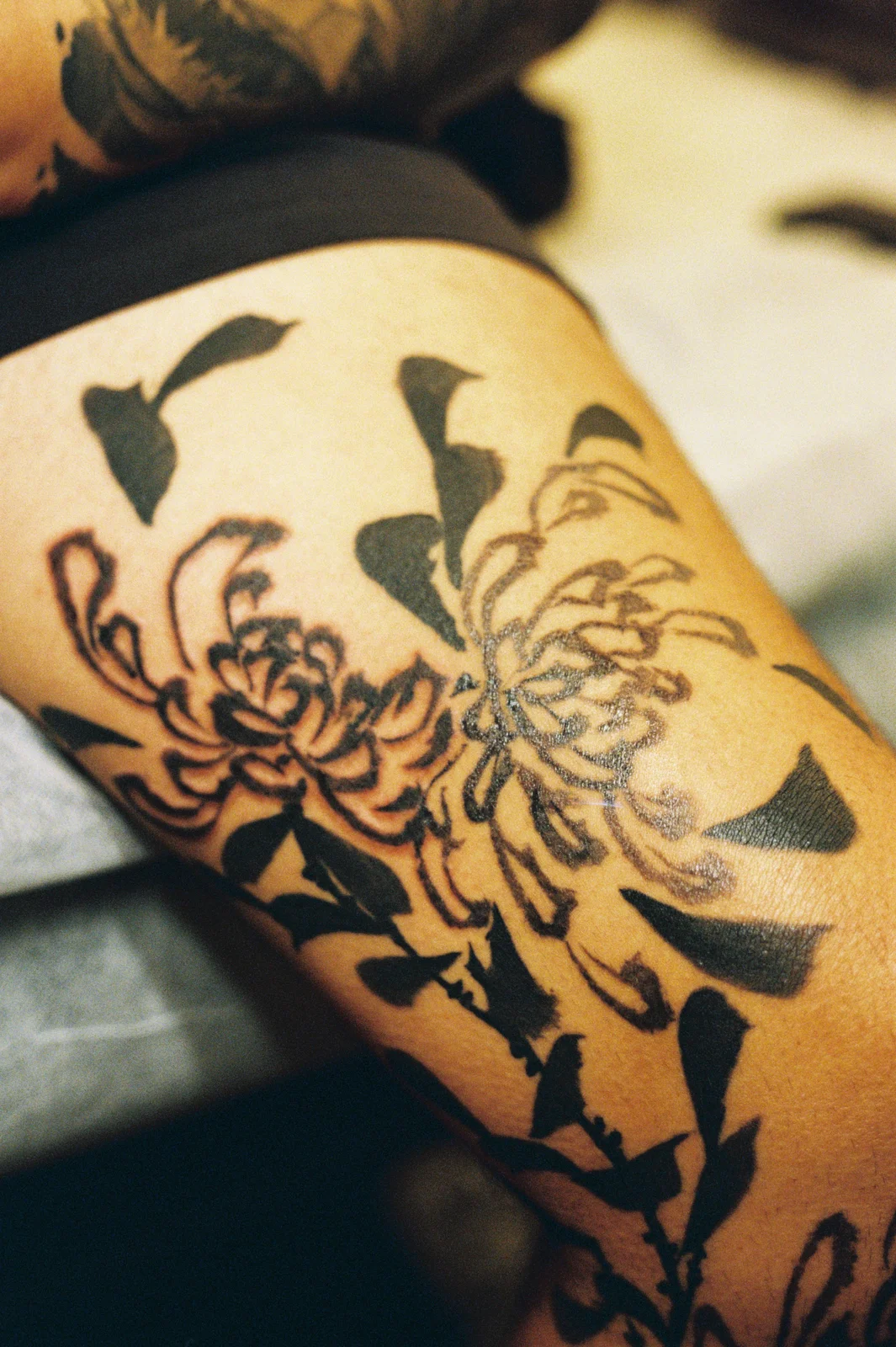 Chrysanthemum — leg — 2025, Image 9